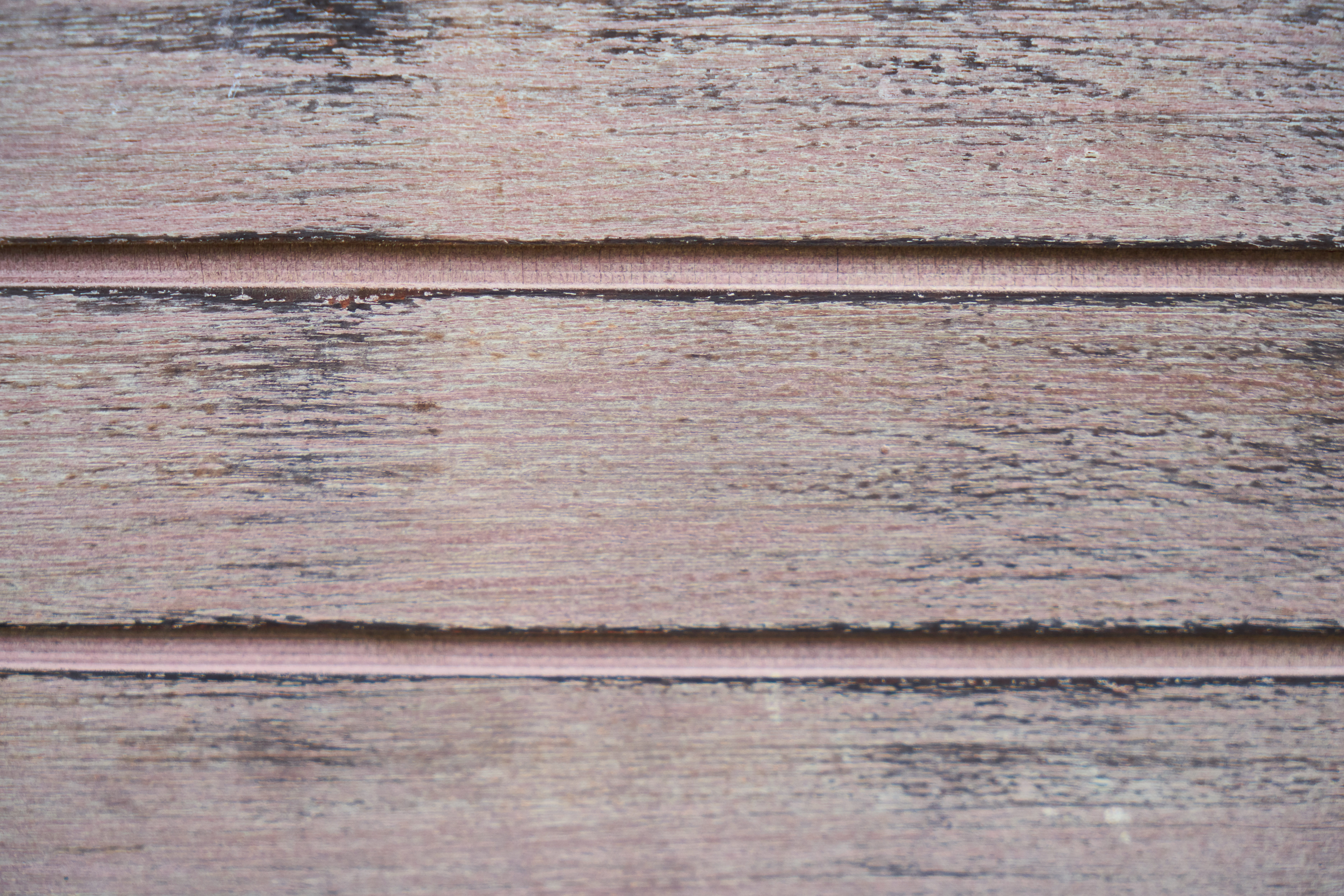 perspective, plank, wood, wood grain, 5K, full frame, wall - building feature, tree, day, photo, blank, concrete, rough, wood-fibre boards, copy space, HD Wallpaper