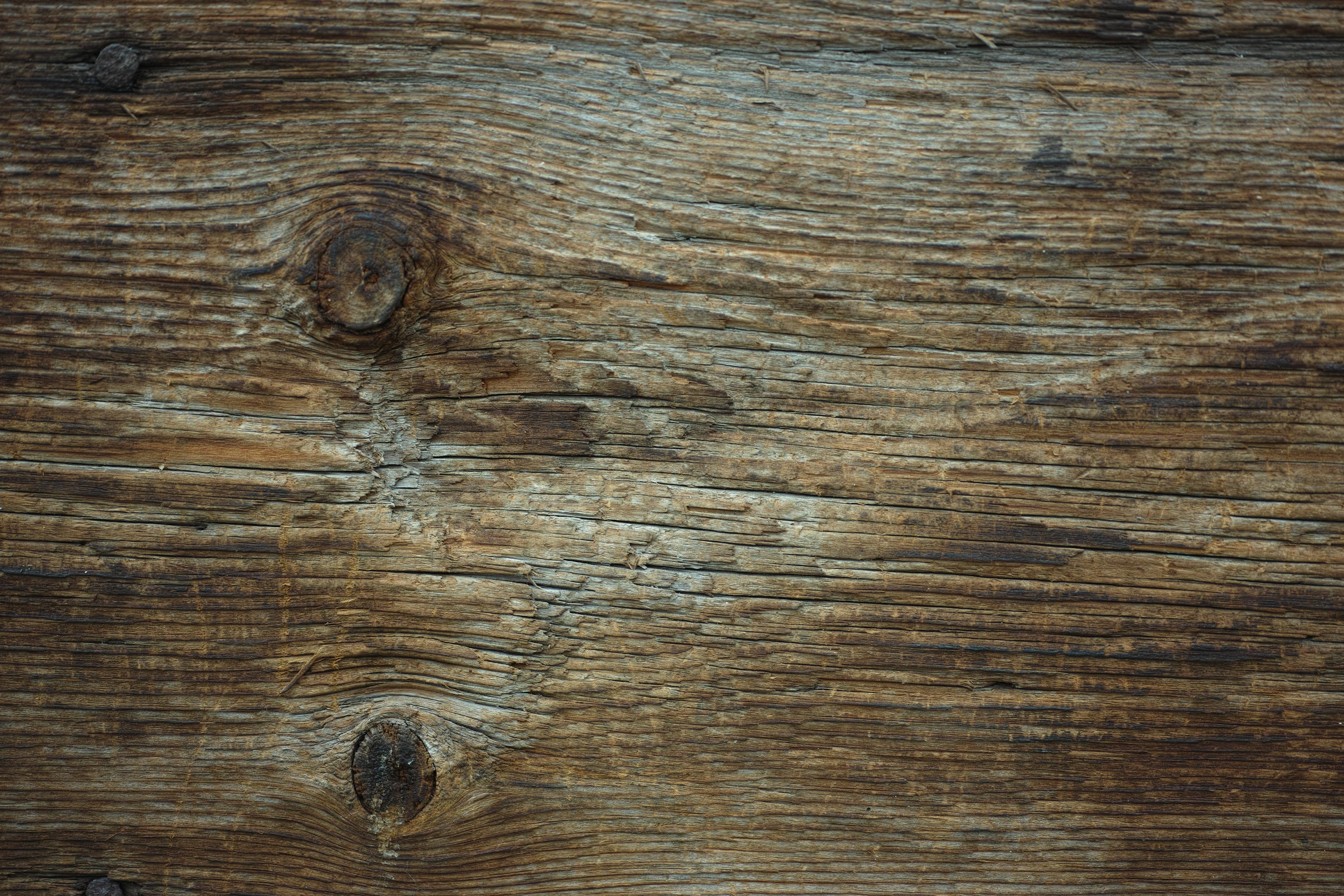 brown, abstract, wood grain, flooring, ground, full frame, surface level, texture, decor, copy space, billet, yellow, 4K, timber, detail, macro, wood - material, HD Wallpaper