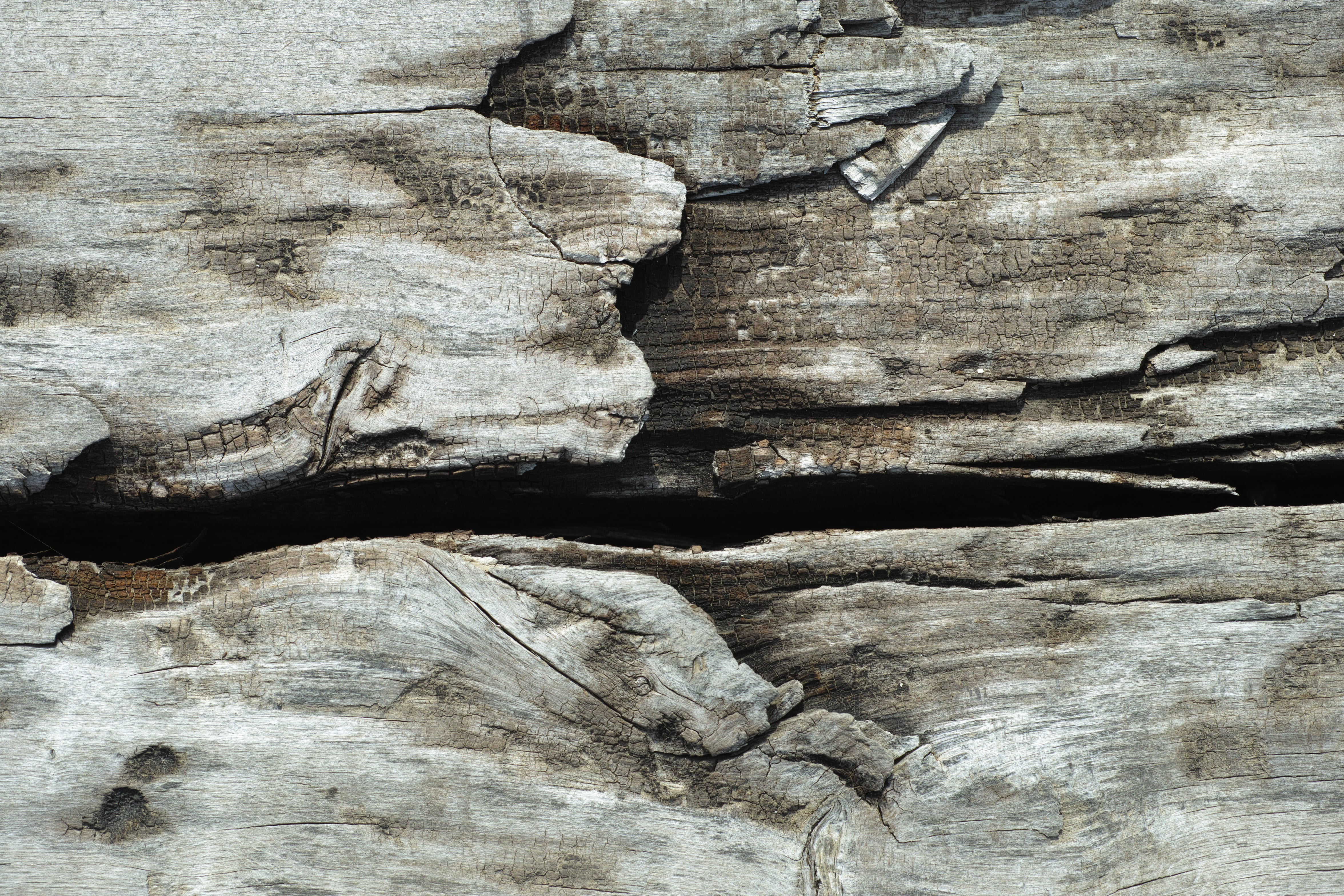 detail, tree, color, outdoors, detail shots, rough, furniture, nobody, wooden, brown, vivid color, motif, old, close-up, parquet, full frame, pattern, day, HD Wallpaper