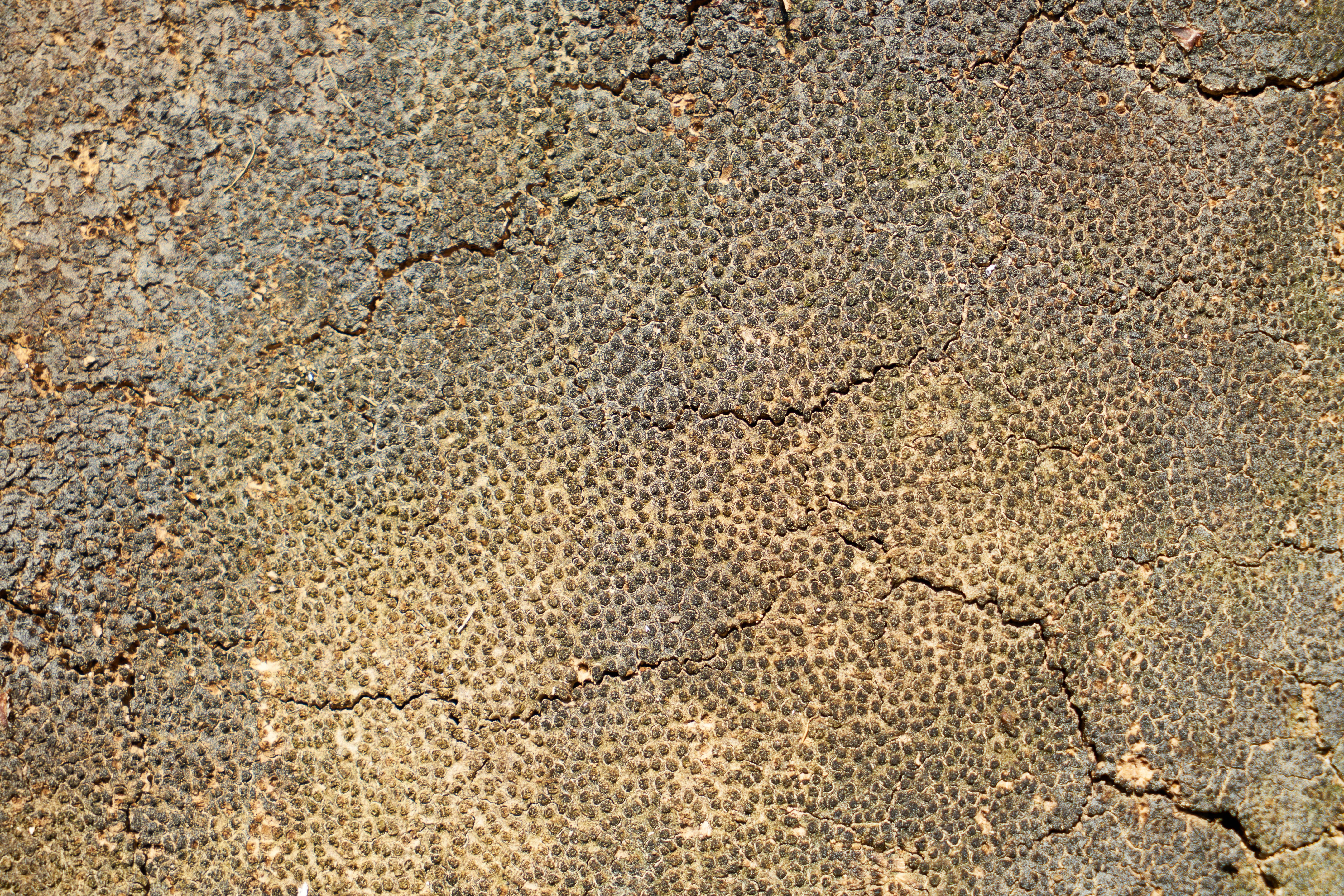 wood-fibre boards, no people, wood tissue, pebble, beach, close-up, abstract, backgrounds, nobody, copy space, concrete, outdoors, full frame, horizontal, HD Wallpaper