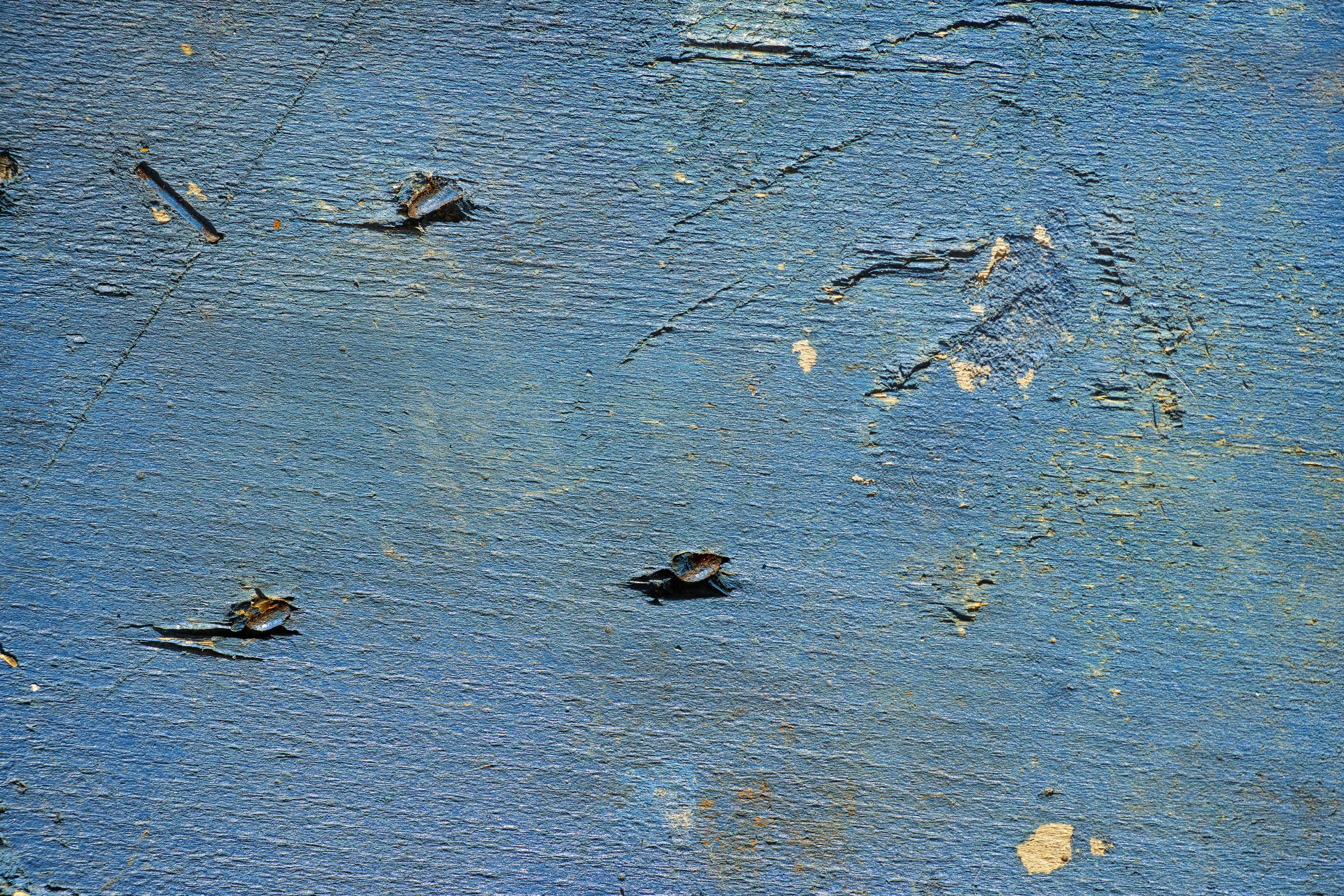copy space, old wall, animals in the wild, wood-fibre boards, abstract pattern, composition, detail, beauty in nature, full frame, swimming, old, animal, HD Wallpaper