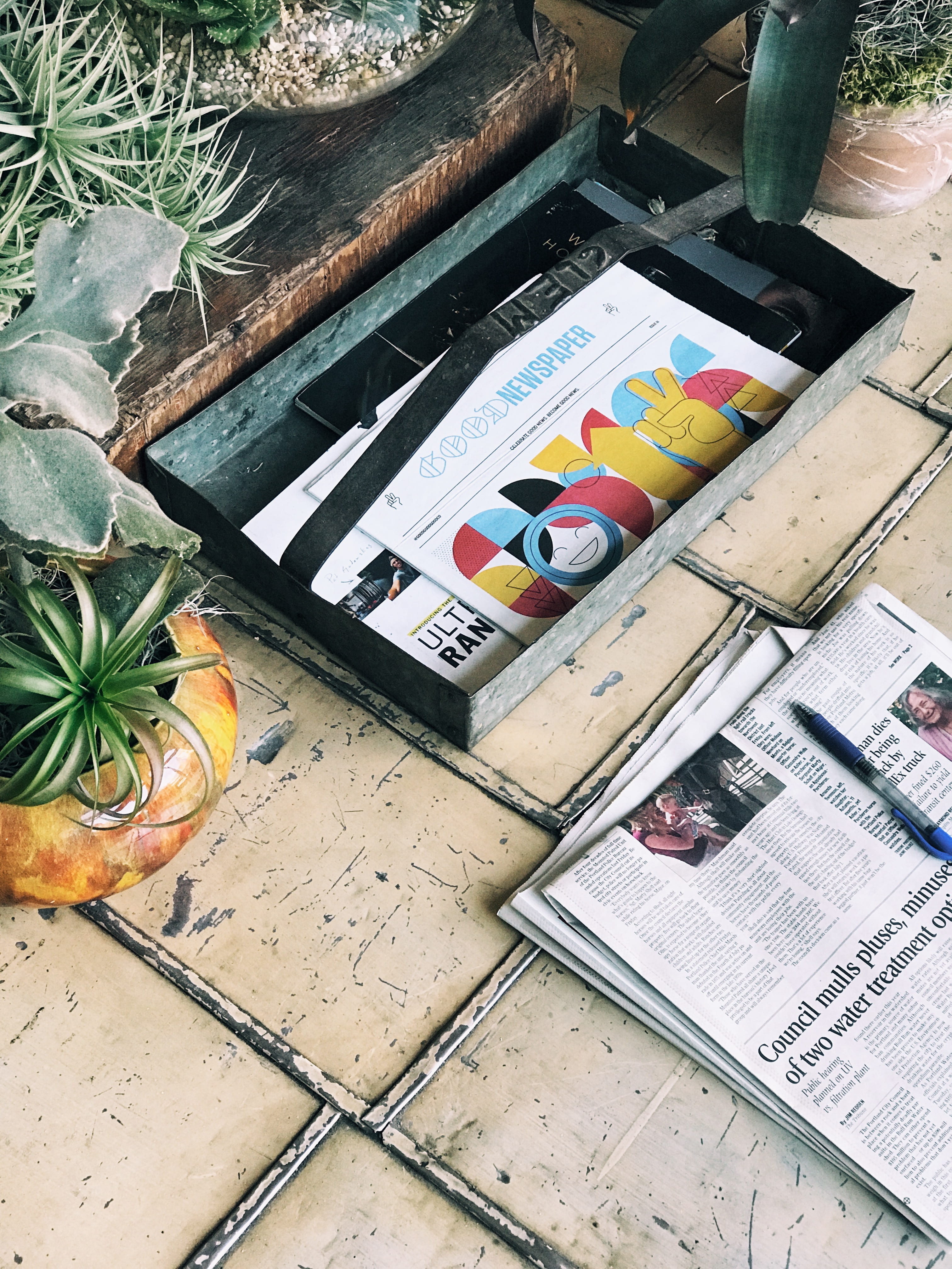 container, succulent, table, rectangular, article, high angle view, 4K, black, retro styled, communication, publication, nature, pot, healthy eating, fruit, Phone HD Wallpaper