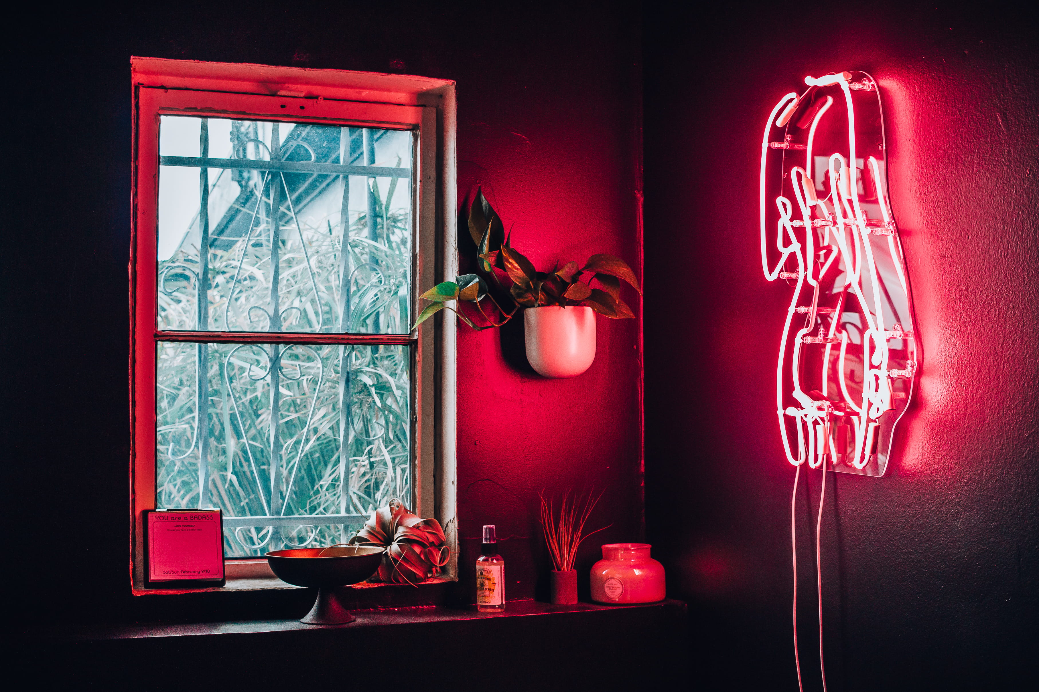 window, night, signage, 2K, picture frame, nature, decoration, plant, indoors, illuminated, red, winter, pink, neon, snow, container, turned, close-up, HD Wallpaper