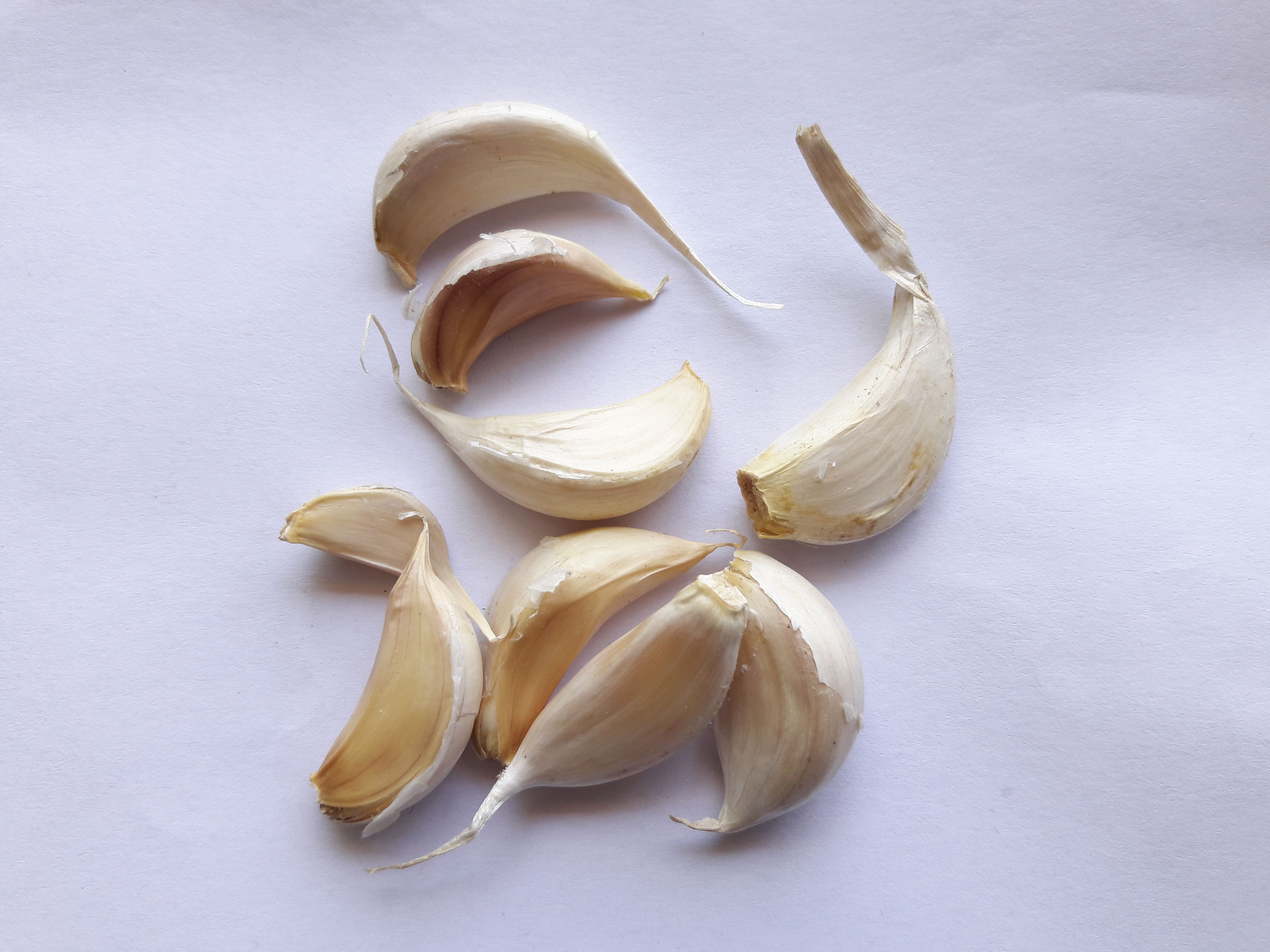 garlic, cloves, background, isolated, garlic cloves, directly above, healthy eating, ripe, condiment, high angle view, spicy, studio shot, ingredient, indoors, HD Wallpaper