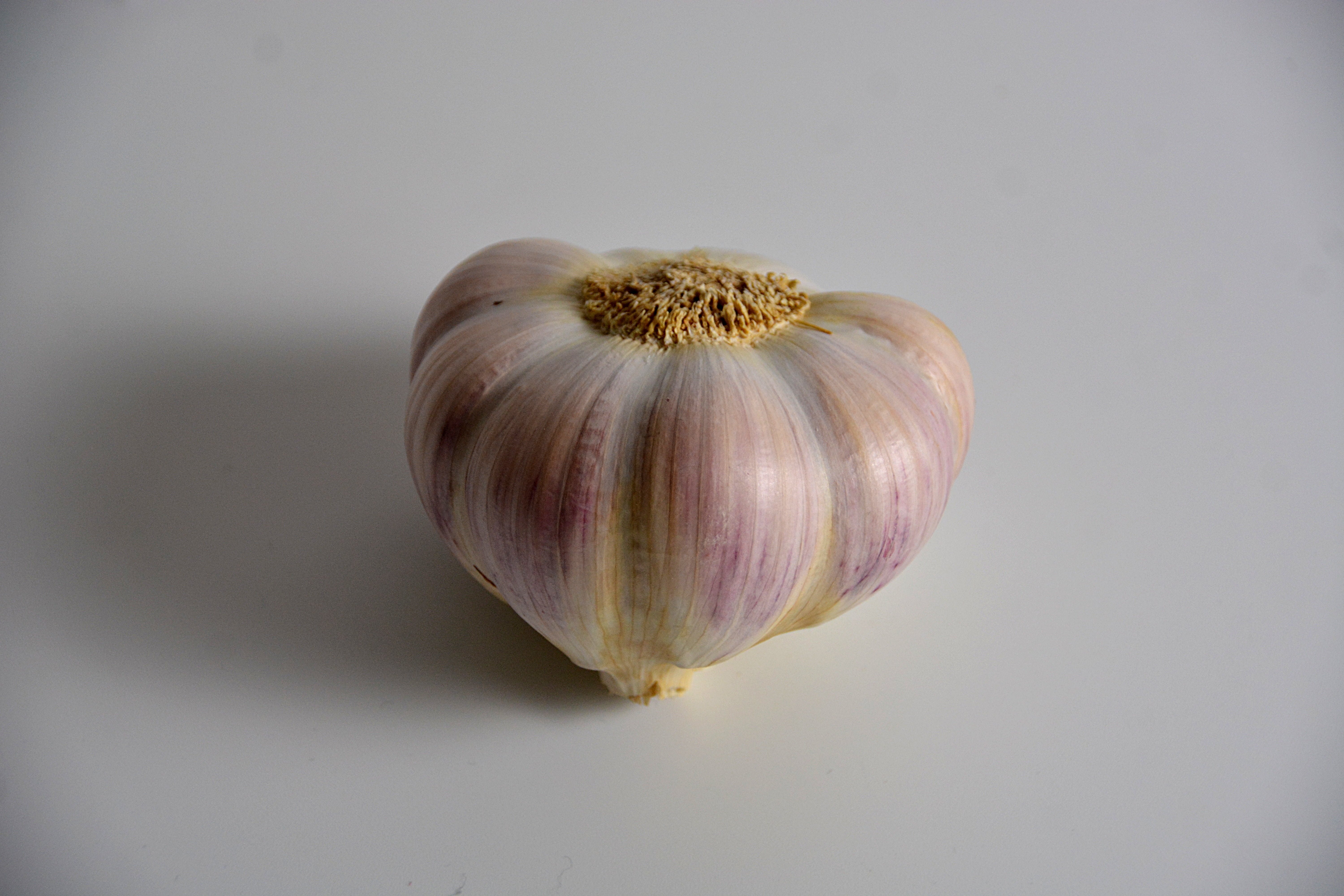 single object, vegetable, food and drink, garlic, freshness, purple, indoors, clove of garlic, studio shot, still life, condiment, no people, healthy eating, HD Wallpaper