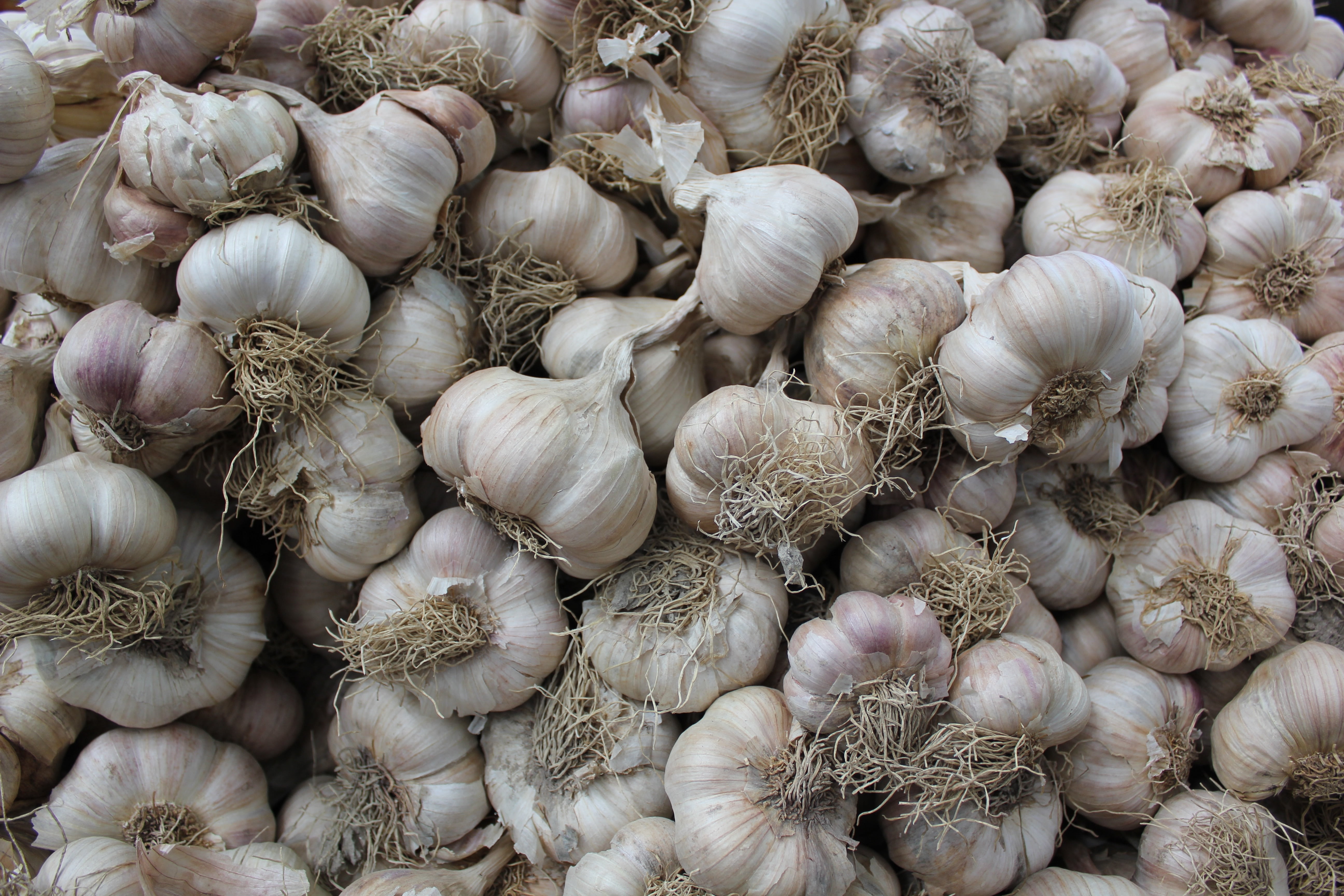 market, still life, garlic, plant bulb, texture, background, raw food, ingredient, white, wellbeing, healthy eating, large group of objects, full frame, HD Wallpaper