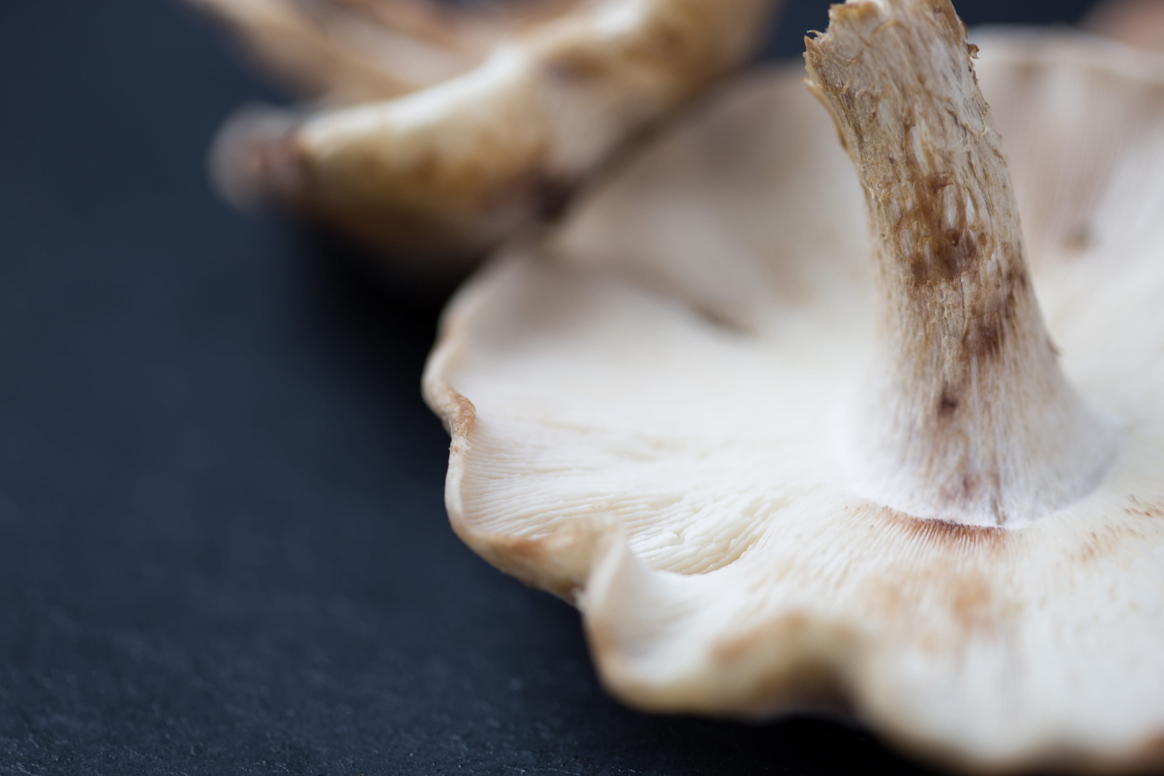 4K, woodland, Macro shot, healthy, mushroom, vegetables, edible Mushroom, vegetable, brown, table, food/Drink, raw Food, garlic, macro, no People, selective focus, HD Wallpaper