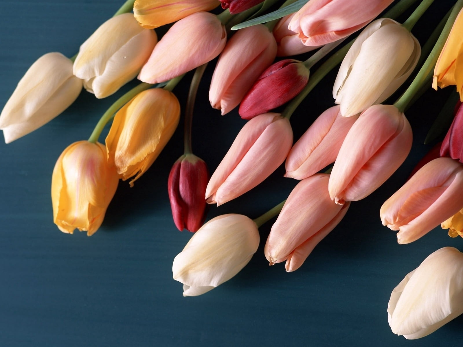 assorted, color Image, leaf, still life, vegetable, close-up, high angle view, flowers, food, colors, freshness, nature, group of Objects, flowering plant, HD Wallpaper