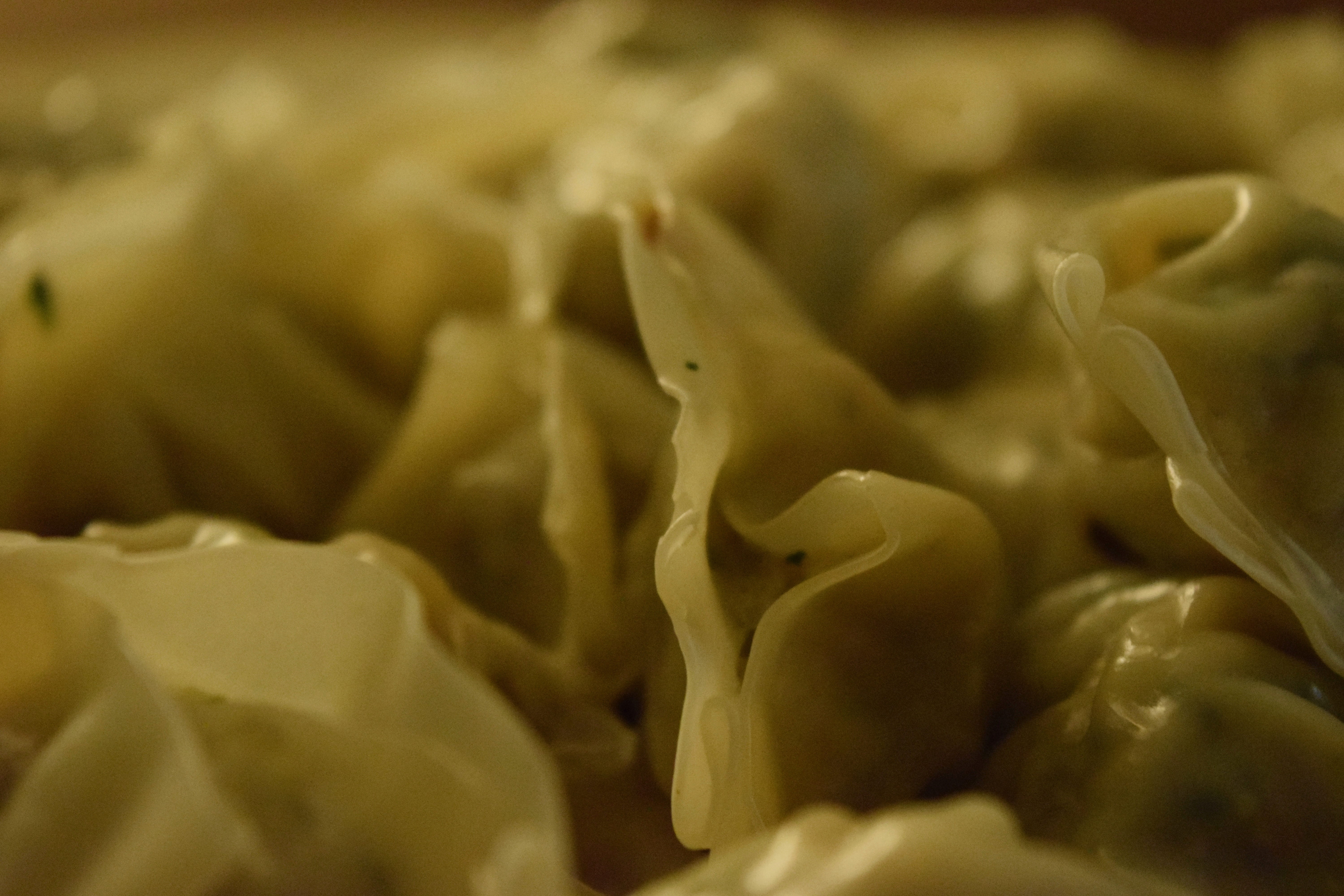dumplings, texture, full frame, backgrounds, studio shot, plant, food and drink, chinese, nature, wontons, beauty in nature, extreme close-up, taiwanese, HD Wallpaper