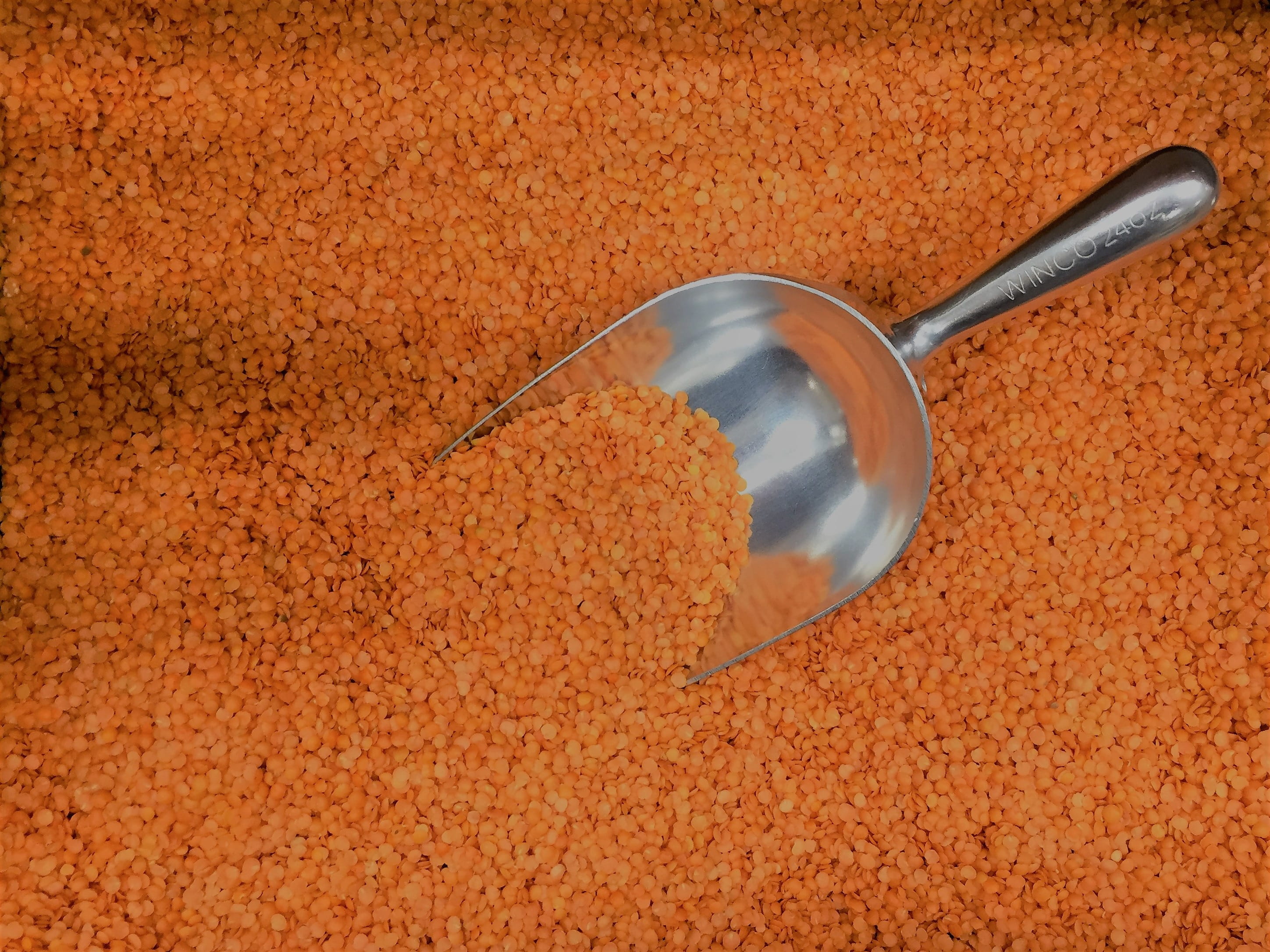 food, breakfast, food and drink, orange color, serving scoop, steel, raw, Orange, high angle view, still life, Lentils, kitchen utensil, household equipment, HD Wallpaper