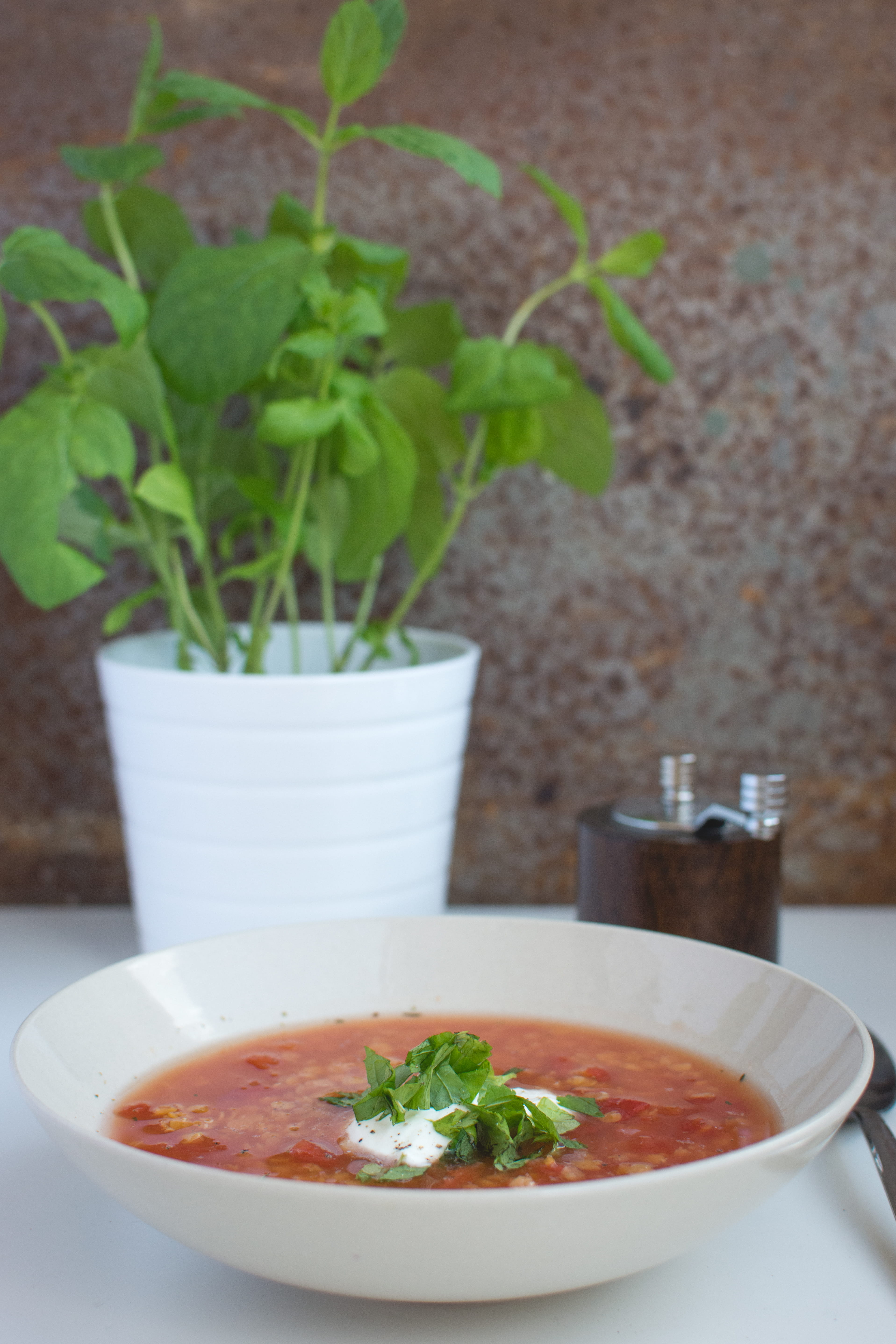 herb, nature, freshness, coriander, soup, crockery, sour cream, 5K, dinner, sour, mint, vegetarian Food, plant part, indoors, gourmet, glass, food and drink, Phone HD Wallpaper
