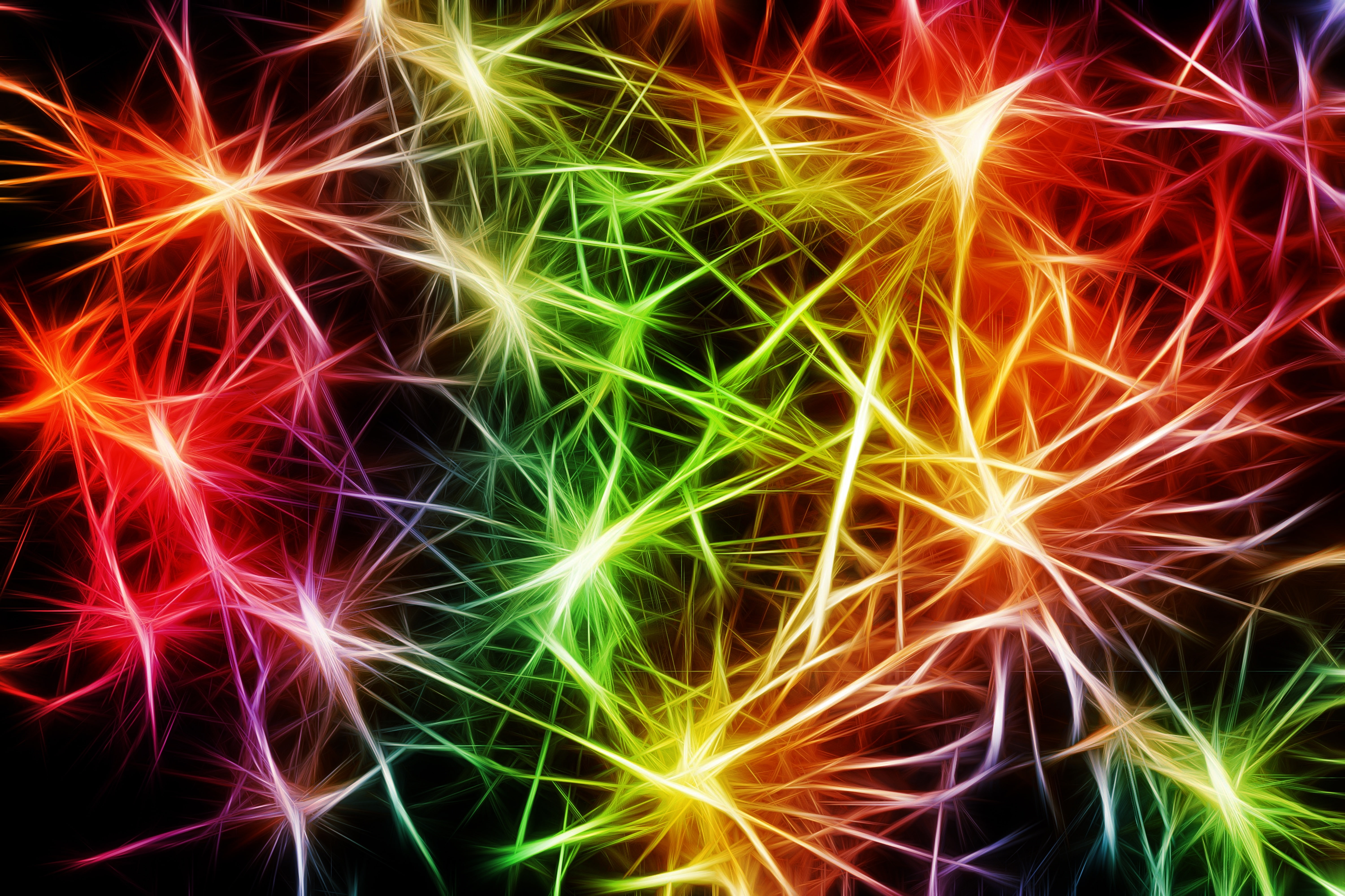 pulse, Abstract, colorful neurons, 5K, HD Wallpaper