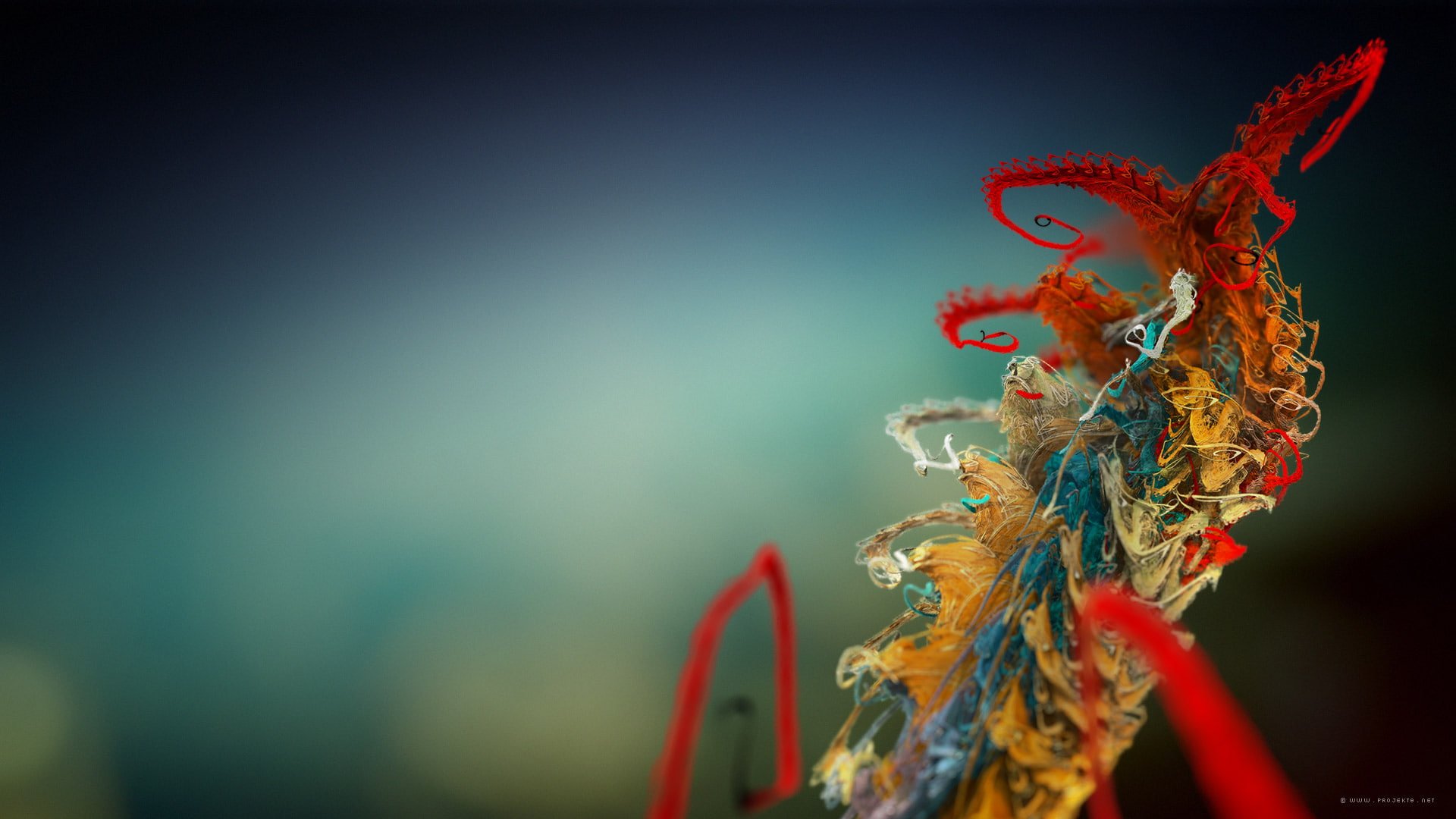 plant, 1080P, micro, HD Wallpaper