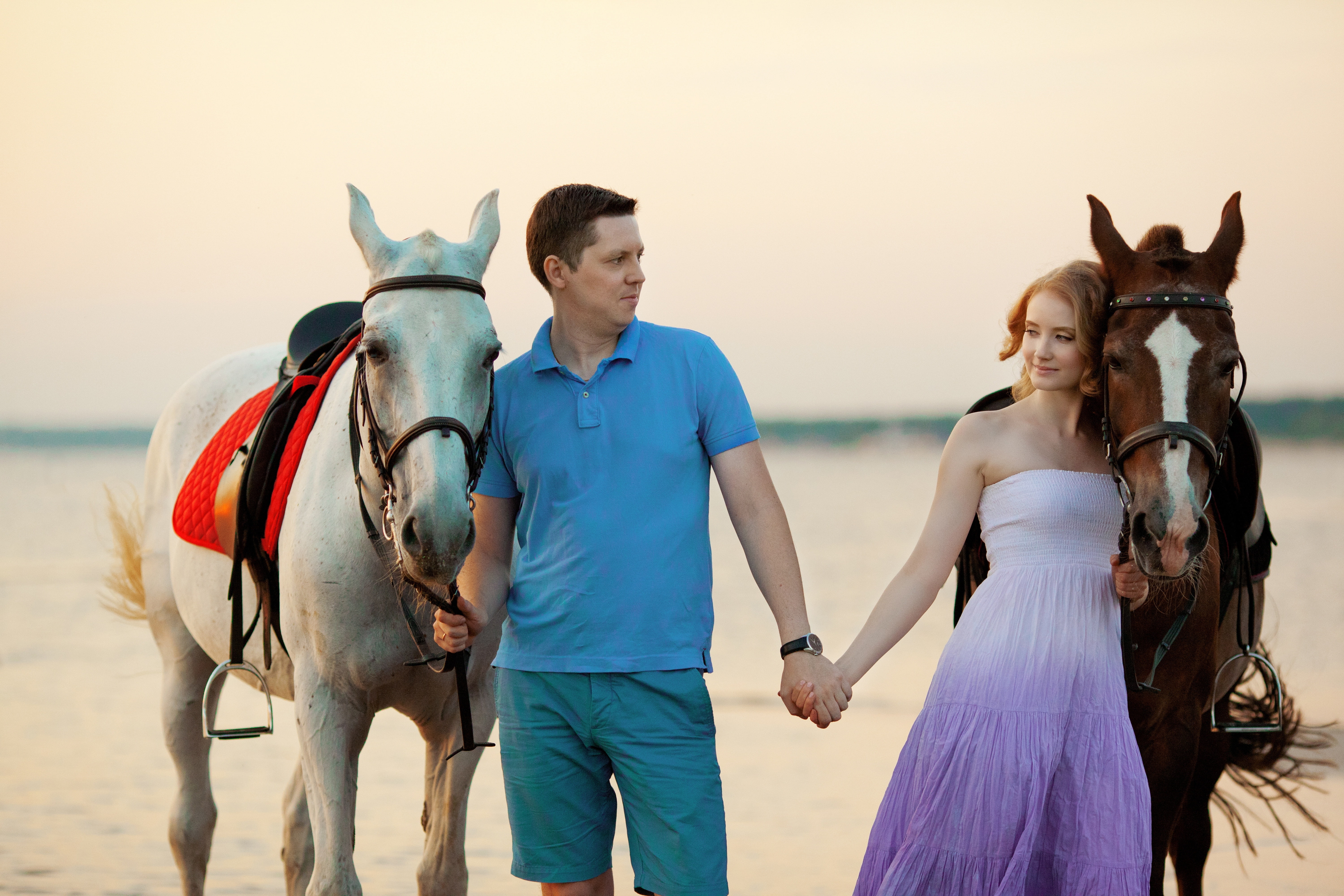 white, horse, horses, 5K, coast, sea, female, girl, brown, boy, male, HD Wallpaper