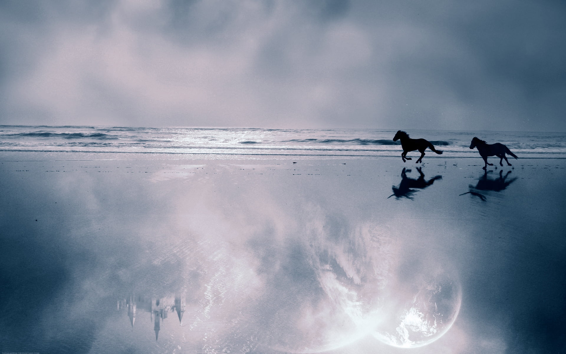 couple, cold temperature, escape, beauty in nature, scenics, surfing, animal, outdoors, tranquil Scene, sunset, winter sport, coast, ice, land, sea, domestic animals, HD Wallpaper