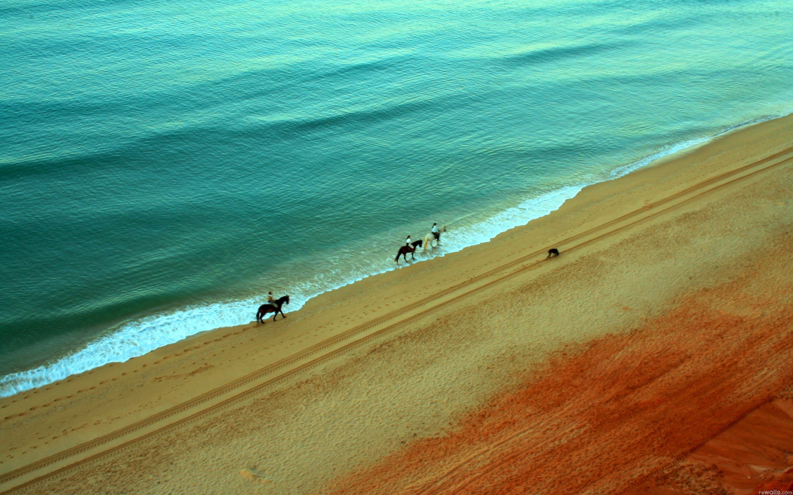sea, walking, riding, 2K, seashore, landscape, person, beach, hoses, three, horses, HD Wallpaper