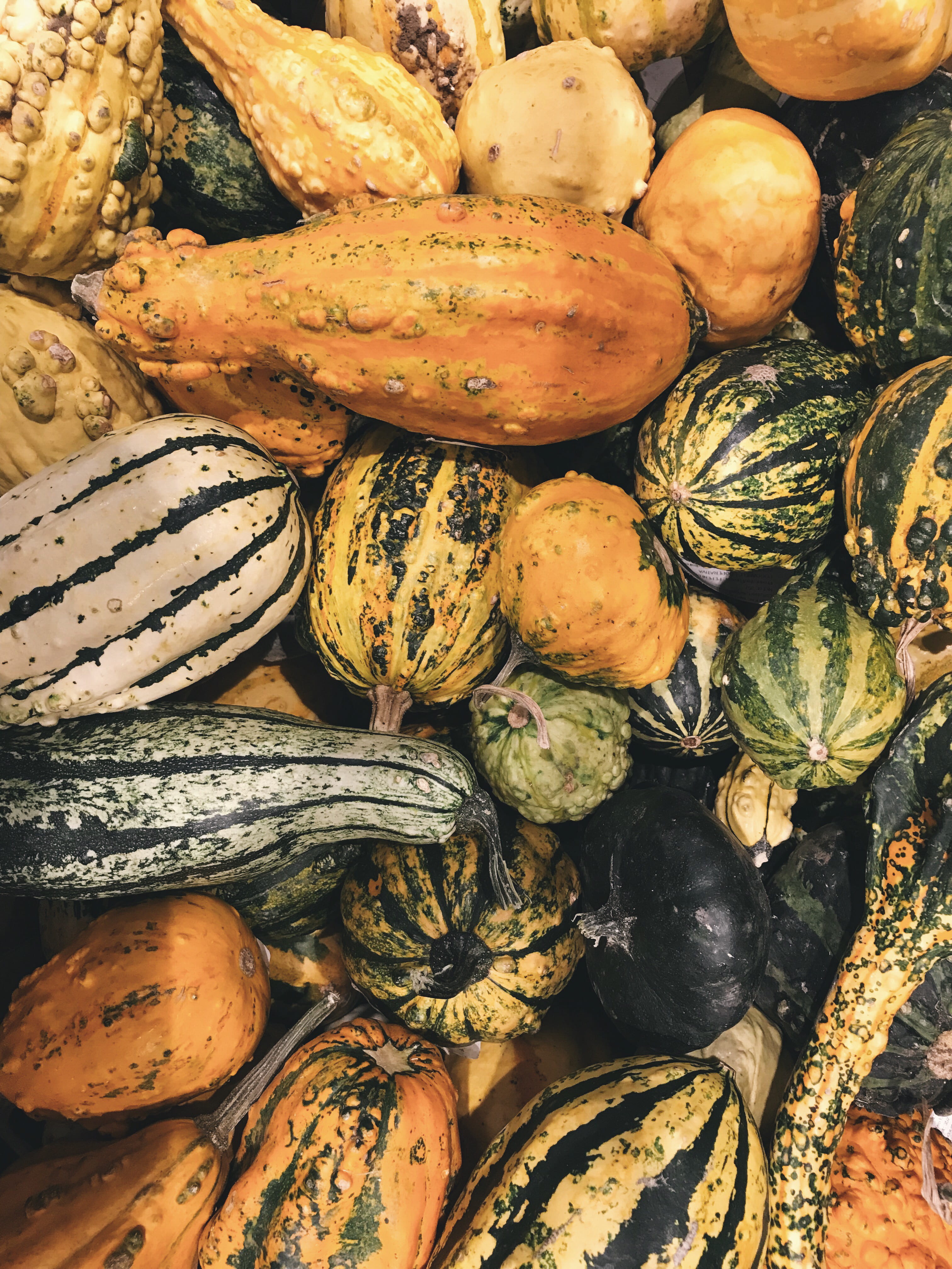 file, orange, halloween, market stall, squash, indoors, gourd, yellow, large group of objects, food, pumpkin, abundance, still life, wellbeing, vegetable, Phone HD Wallpaper
