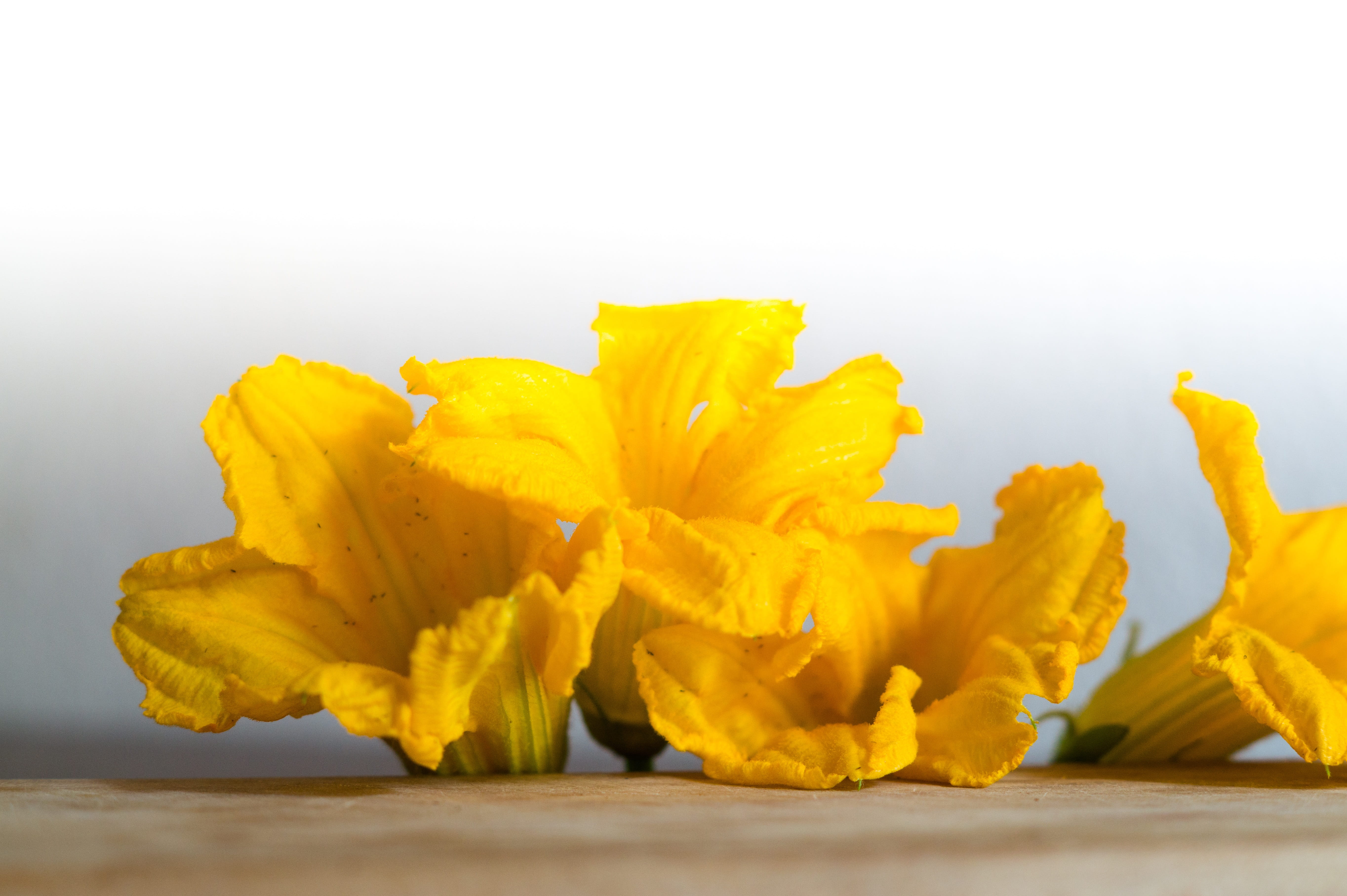 nature, the flowers of the marrow of the bones, colorful, plant, single object, vegetable, vegetarian food, flowers pumpkin, pumpkins, abstract, wellbeing, HD Wallpaper