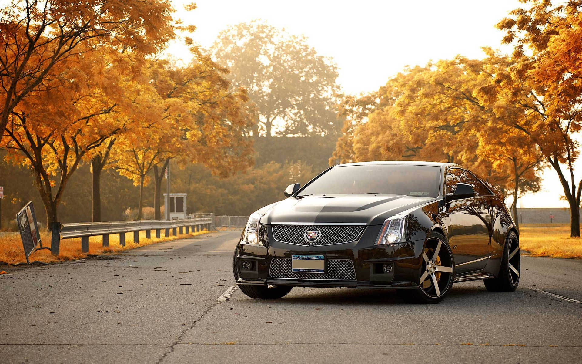 v, cars, cadillac, 1080P, autumn, trees, hd, cts, HD Wallpaper