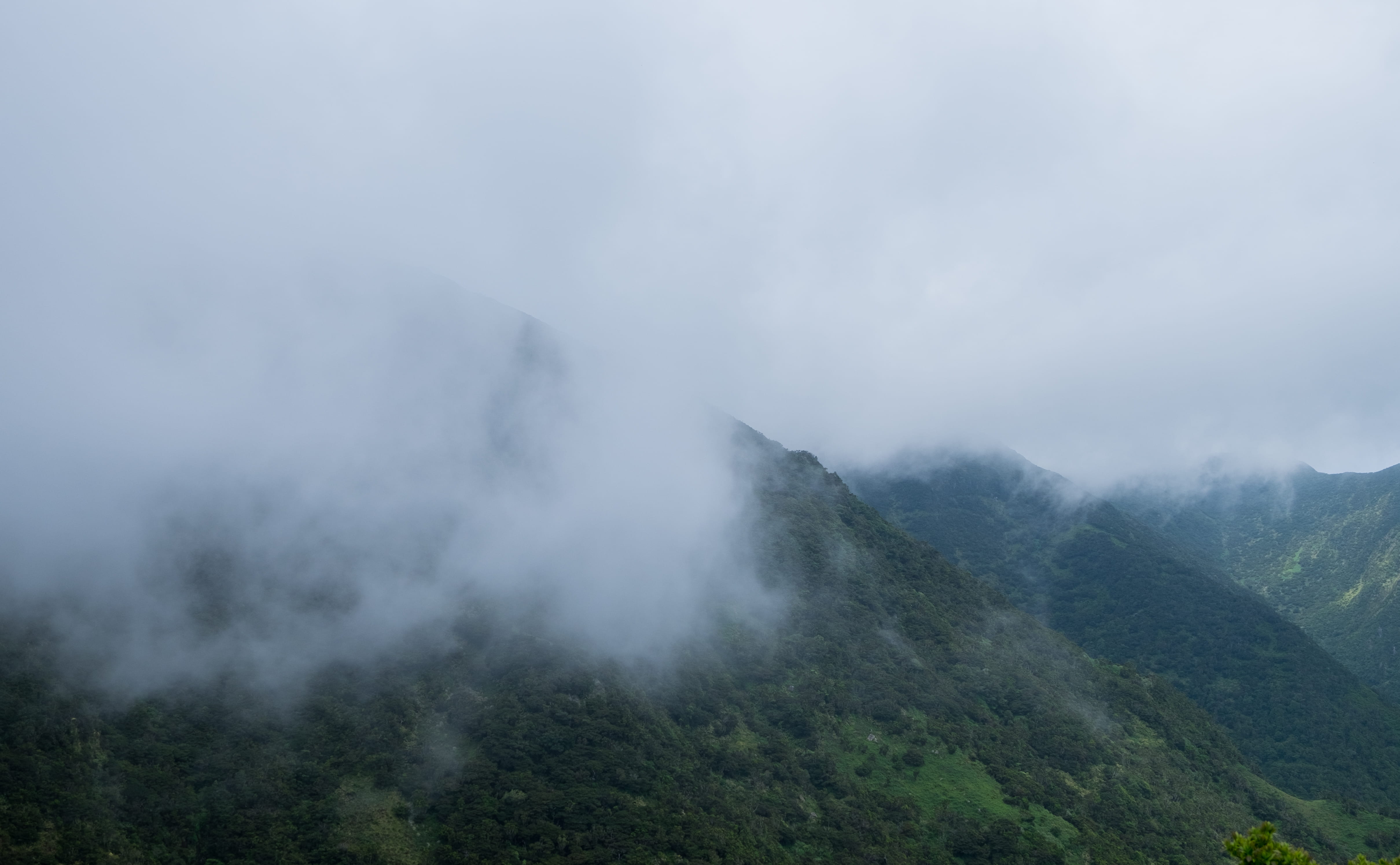 unveil, moody, são jorge, weather, adventure, scenics - nature, remote, hike, climate change, clouds, rain, climate, landscape, non-urban scene, nature, HD Wallpaper