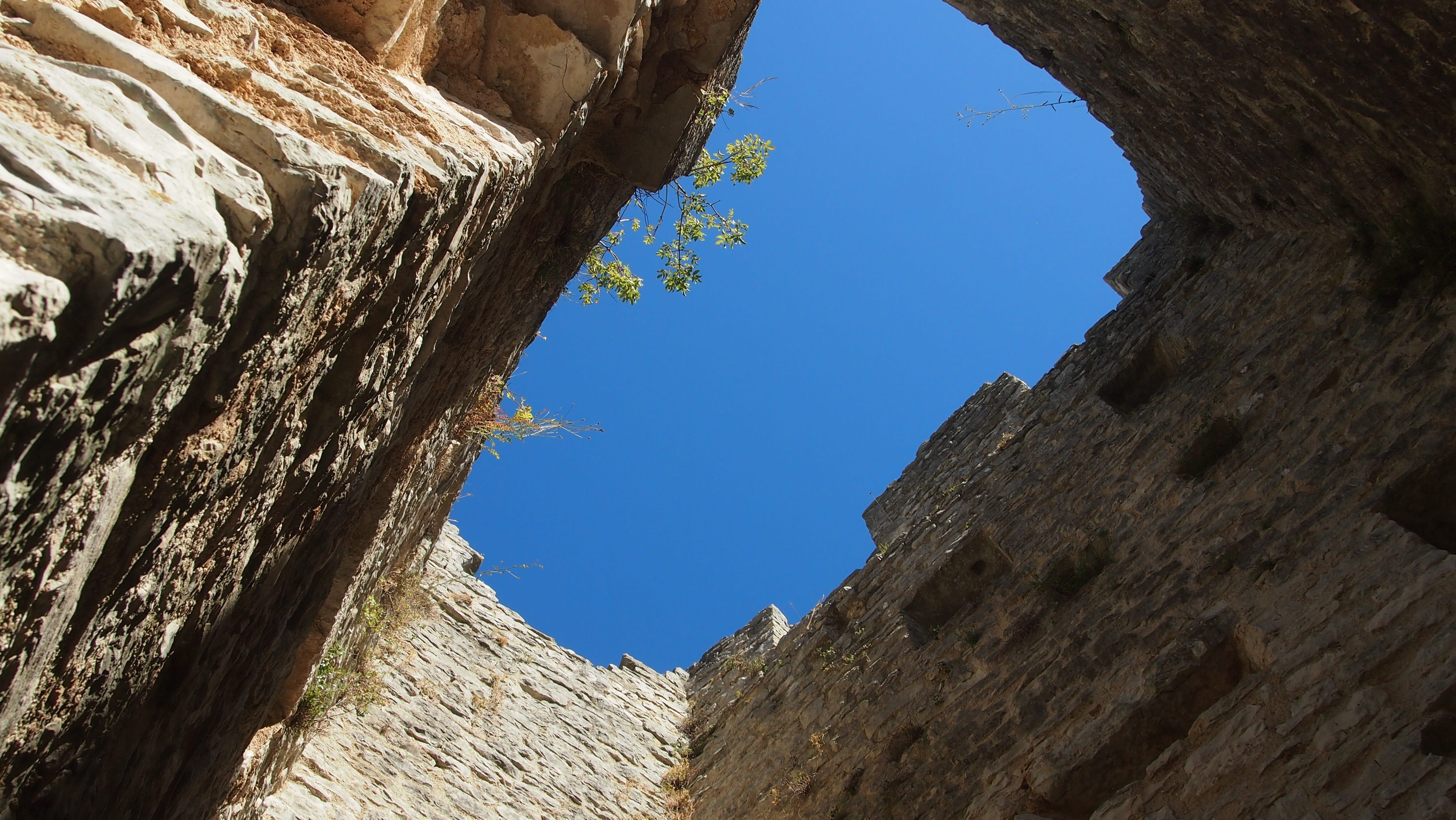 directly below, hole, tree, malaria, tower, plague, dvigrad, no people, sky, croatia, outdoors, solid, lapsed, coniferous tree, beauty in nature, travel, HD Wallpaper