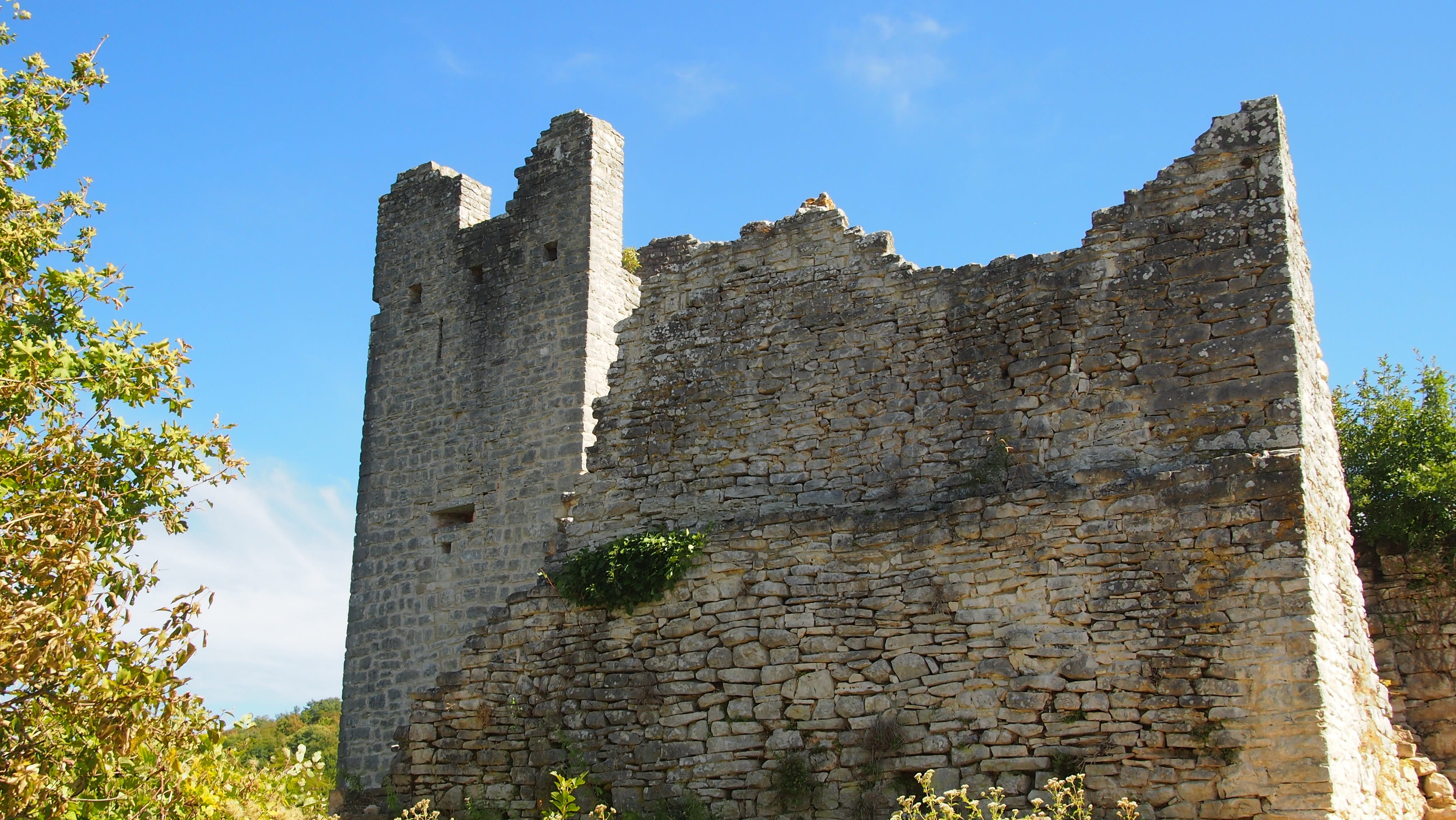 sunny, sky, no people, old, the past, archaeology, plant, 4K, ruined, travel destinations, low angle view, nature, malaria, plague, architecture, built structure, HD Wallpaper