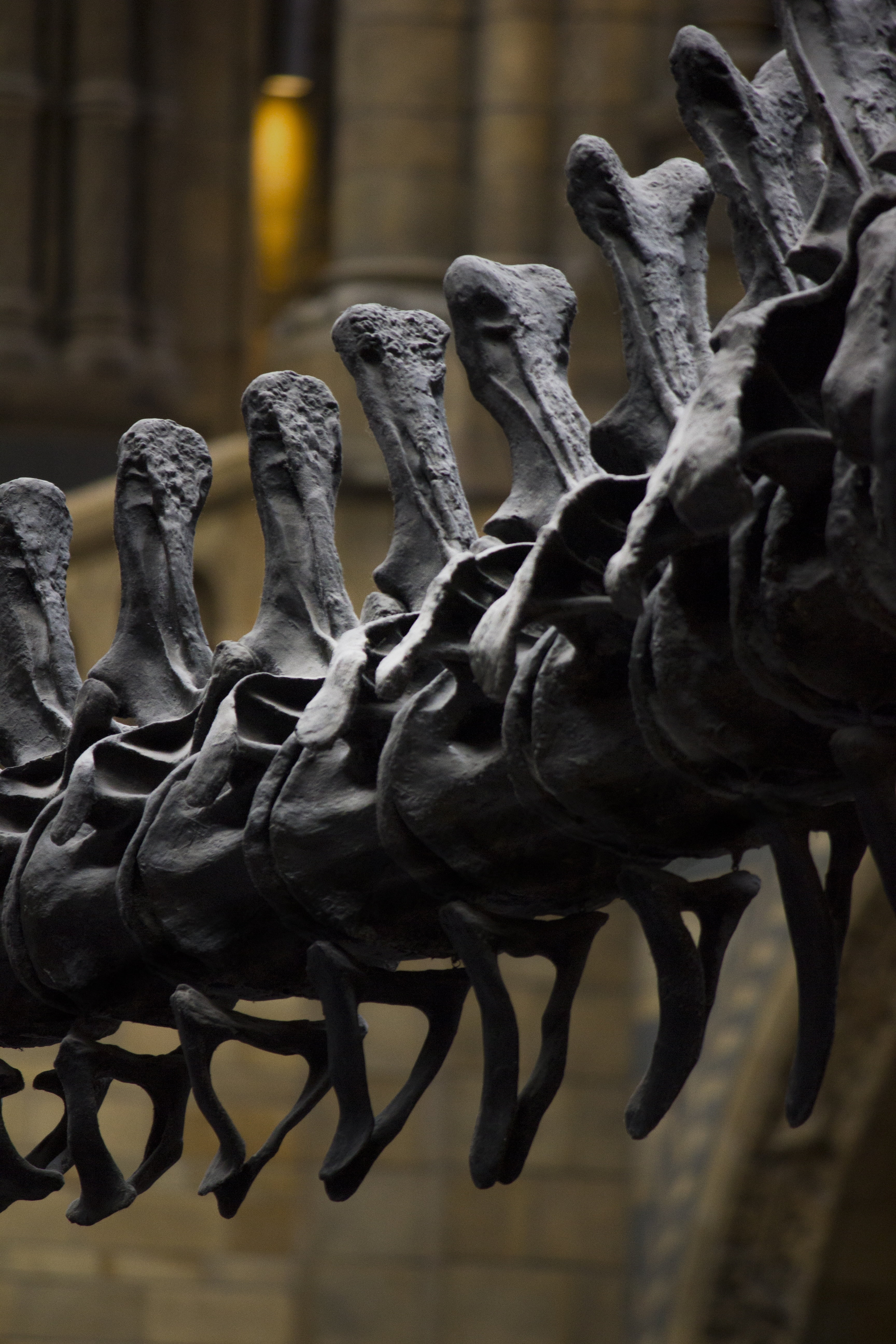 spirituality, no people, built structure, 5K, dinosaur, history, backbone, statue, craft, art and craft, sculpture, archaeology, creativity, belief, london, Phone HD Wallpaper