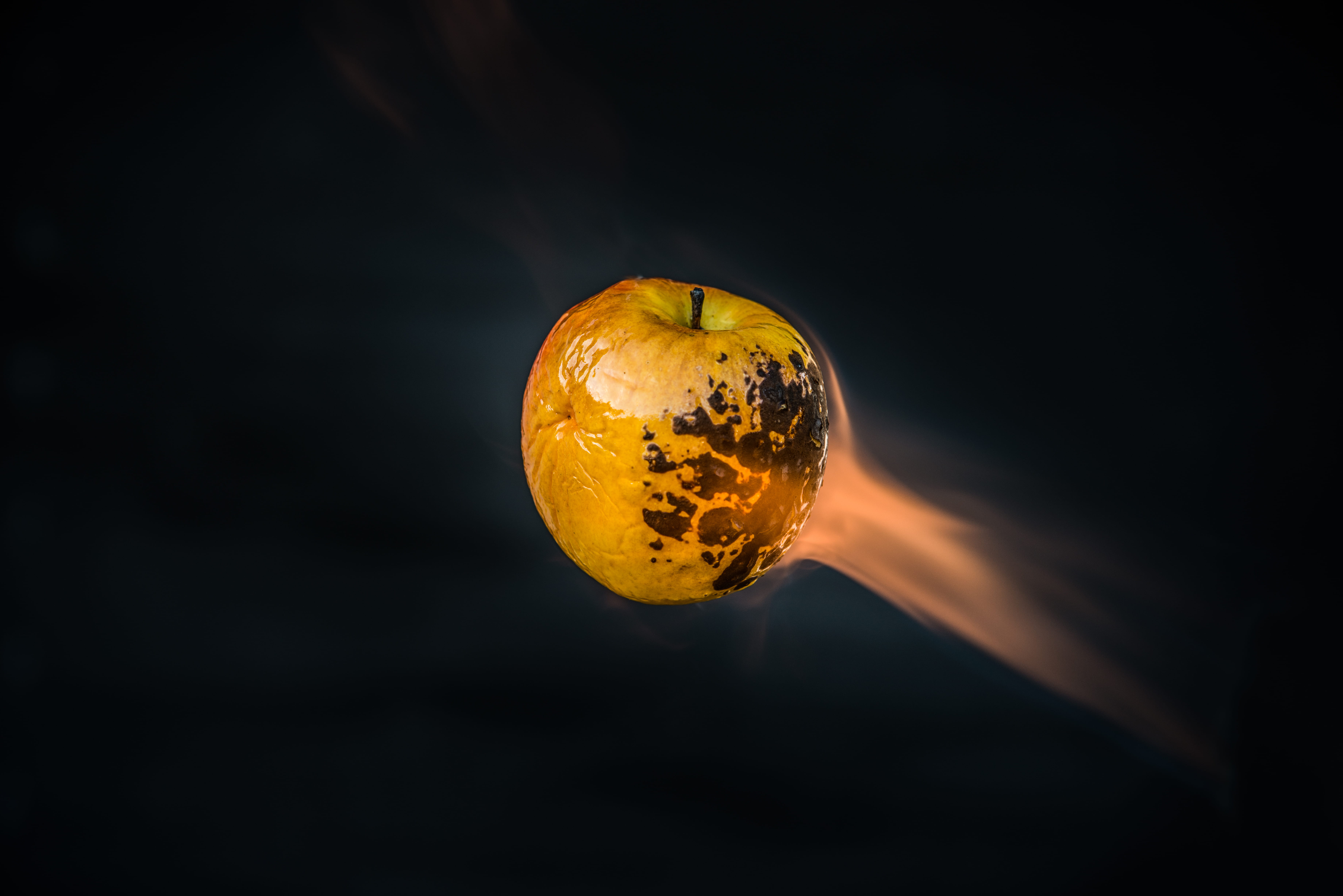 5K, studio shot, single object, orange, wellbeing, burn, close-up, citrus fruit, rotten, copy space, nature, food, flame, food and drink, apple, celebration, HD Wallpaper