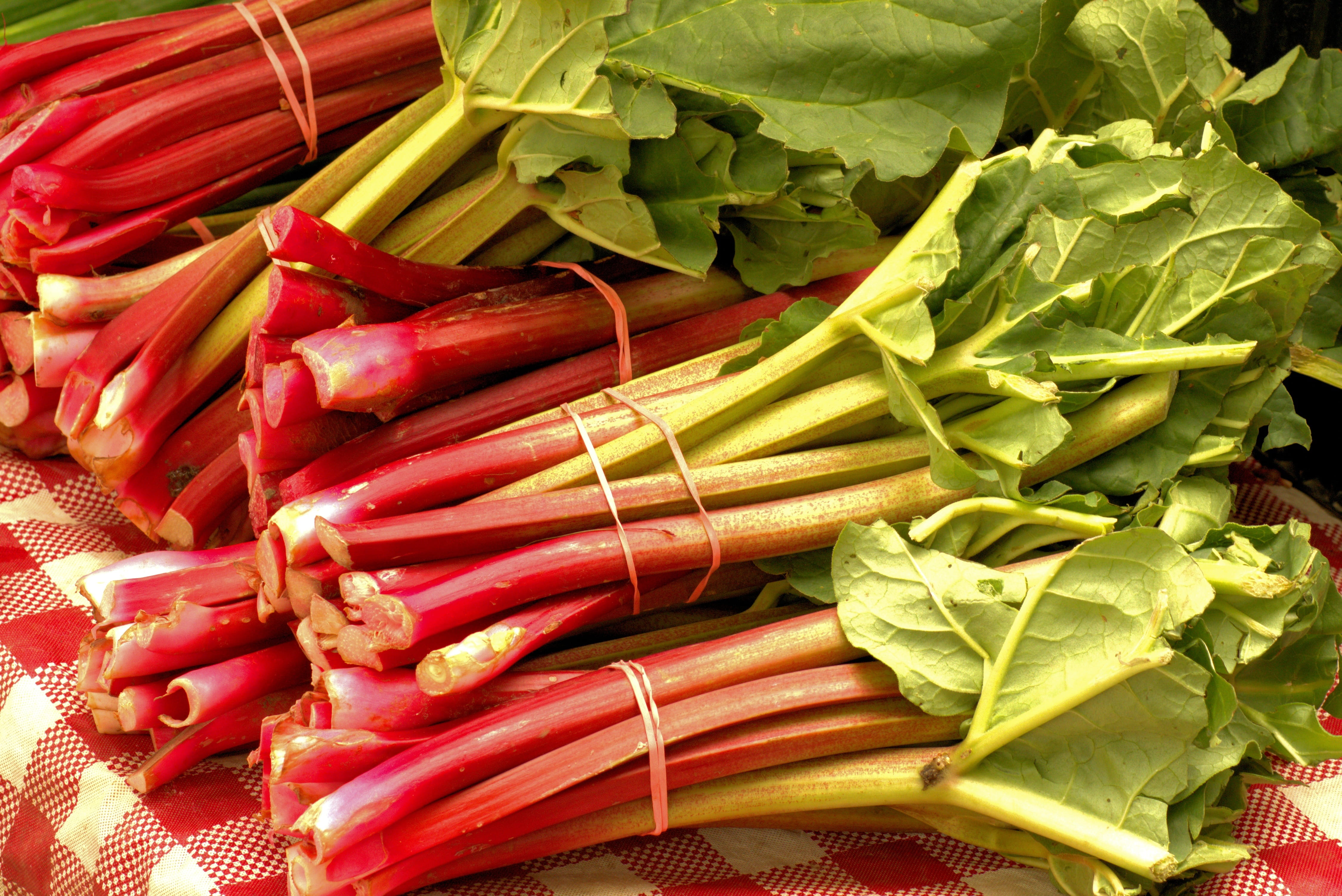 crop, wellbeing, food and drink, still life, organic, spice, green color, harvest, food, rhubarb, ripe, vegetables, root, farmers market, no people, agricultural, HD Wallpaper