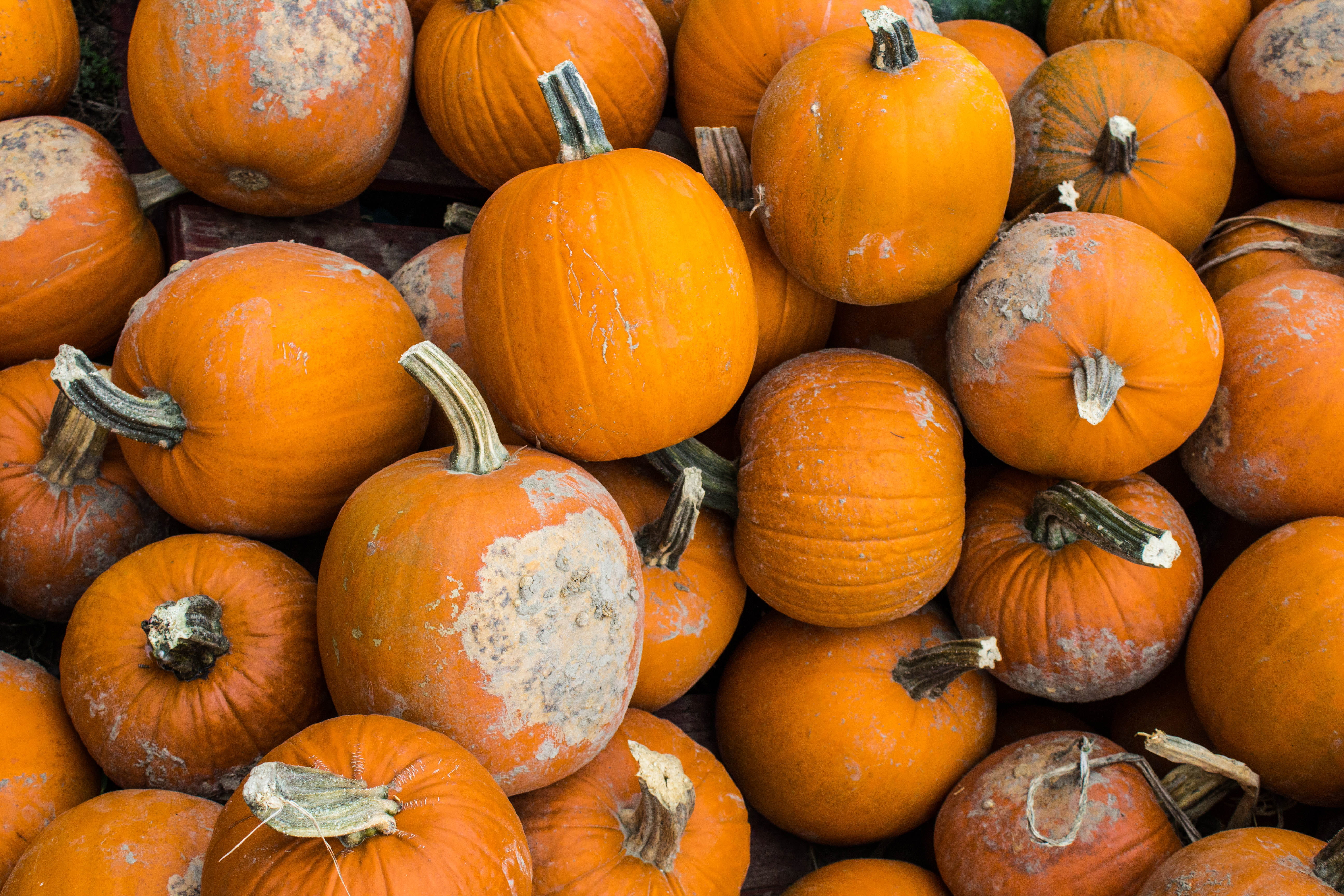 food and drink, pumpkin, freshness, outdoors, ingredients, healthy eating, wellbeing, market, backgrounds, abundance, vegetarian food, vegetable, large group of objects, HD Wallpaper