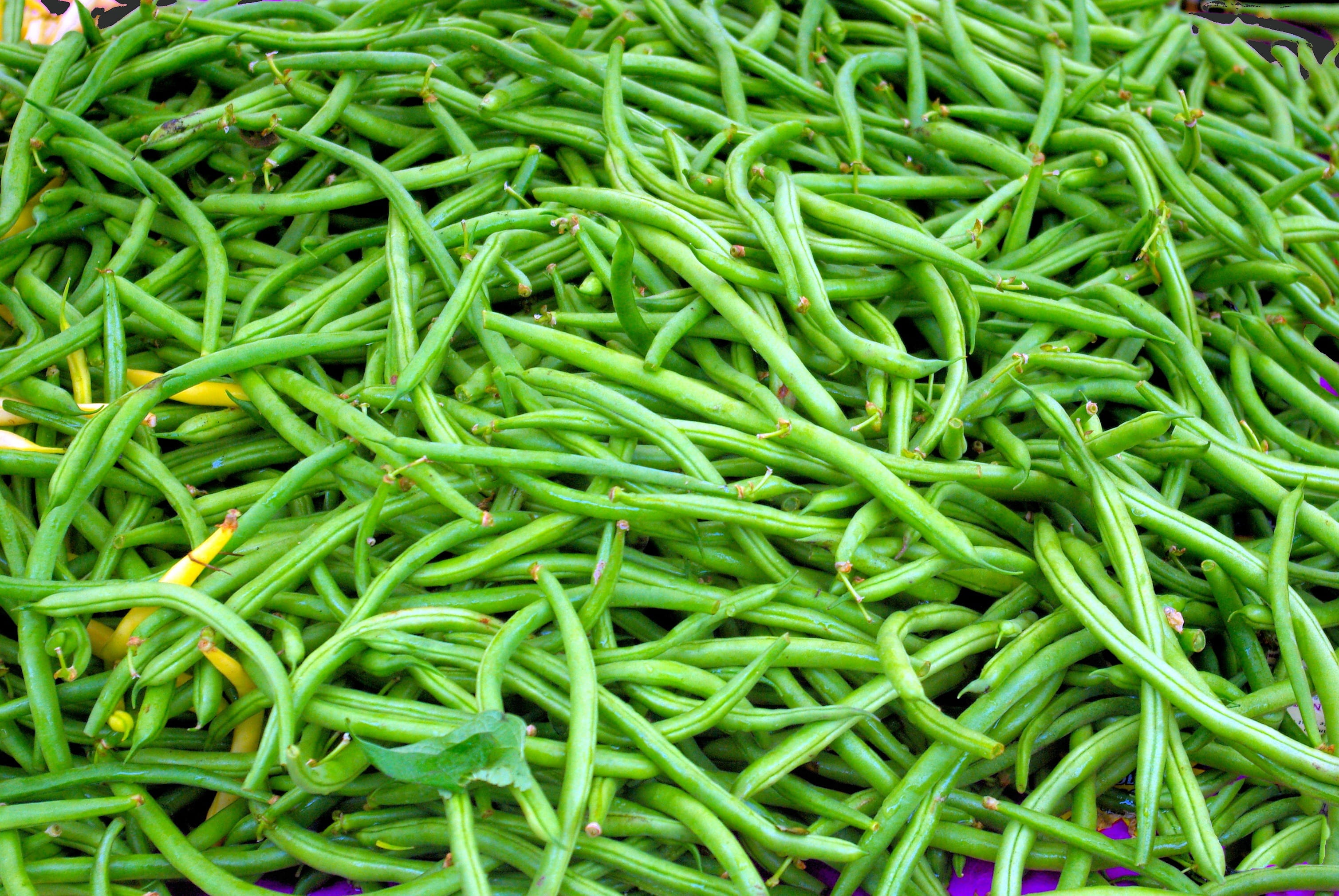 green bean, agriculture, legume, farm, dane, abundance, no people, food, bean, ingredient, raw, wisconsin, green, nature, healthy eating, for sale, garden, HD Wallpaper