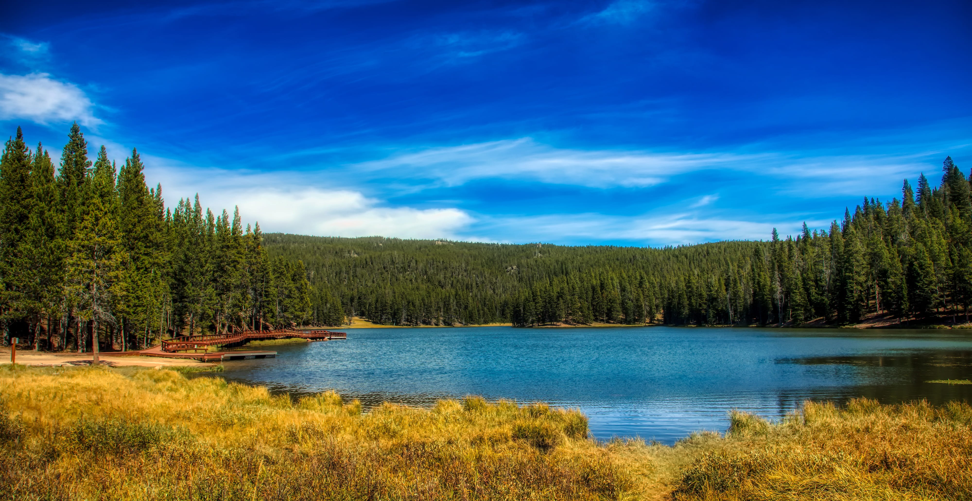 non-urban scene, idyllic, scenics - nature, country, trees, rural, forest, landscape, outdoors, tree, wilderness, blue, vacation, tourism, scenic, land, HD Wallpaper