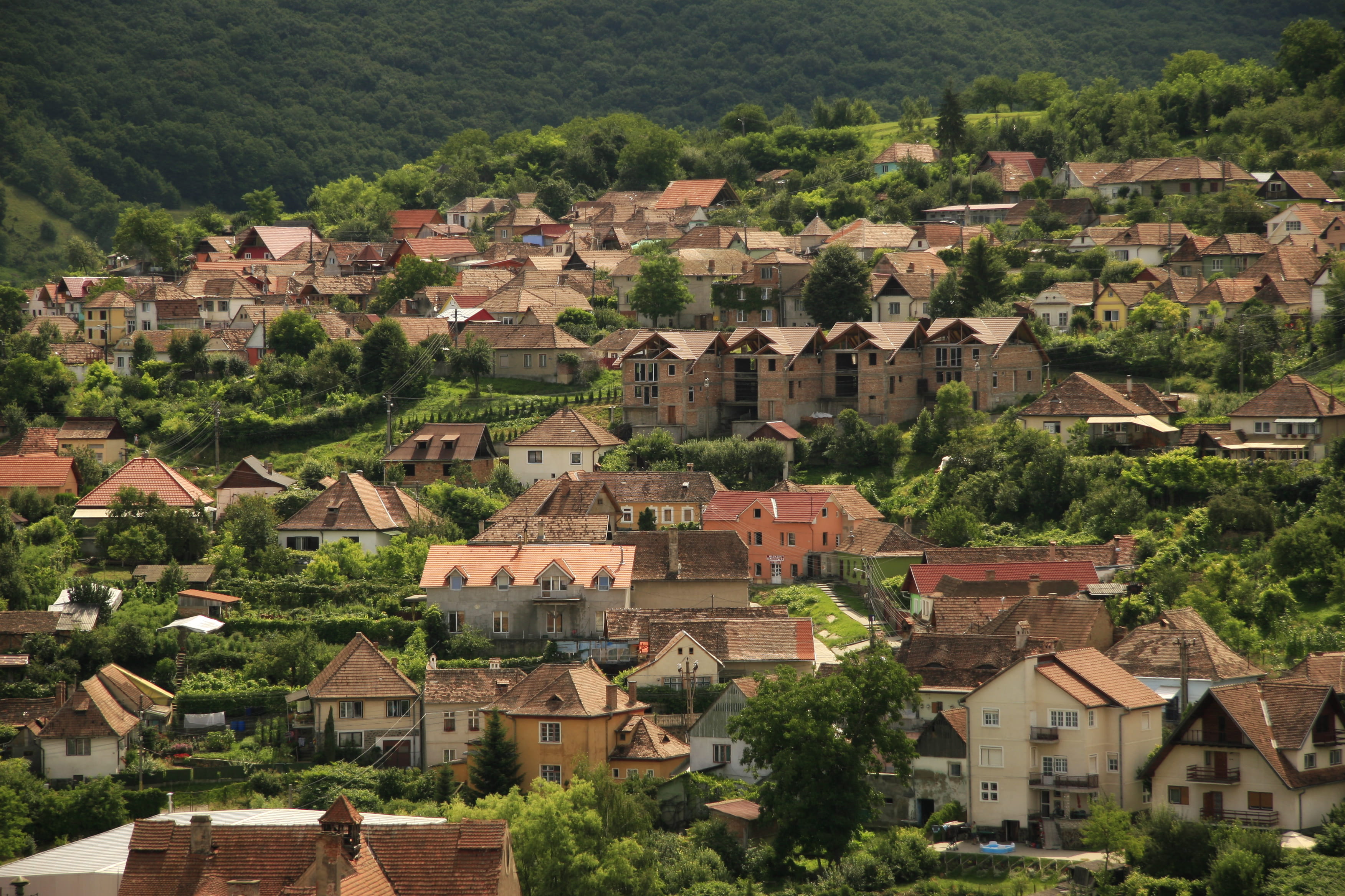 nature, trees, residential district, tree, outdoors, house, no people, rural scene, europe, houses, community, building exterior, mountain, eagle, 2K, HD Wallpaper