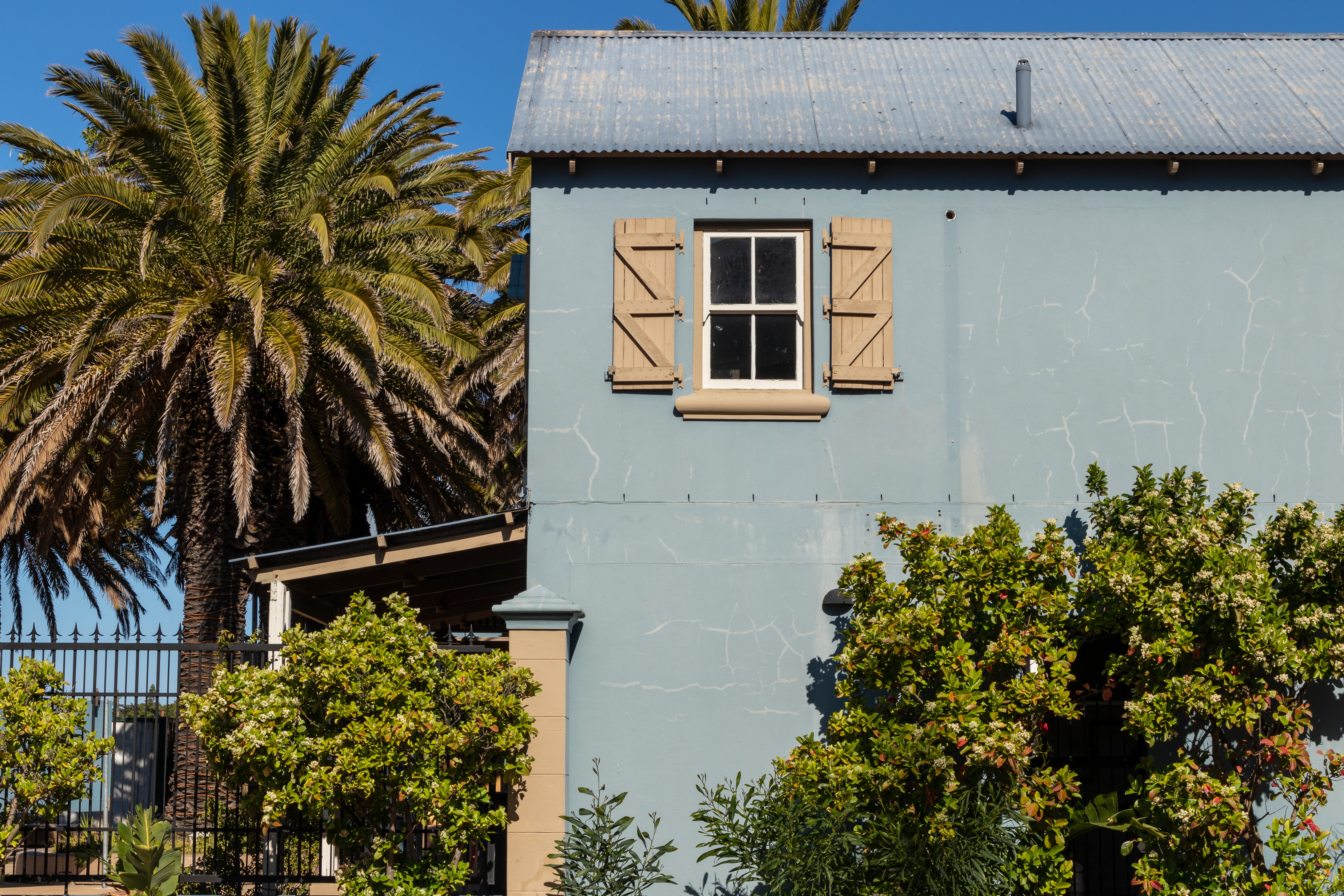 no people, plant, skylight, nature, tropical climate, building, growth, cottage, sky, low angle view, rural, clear sky, century city, window, south africa, HD Wallpaper