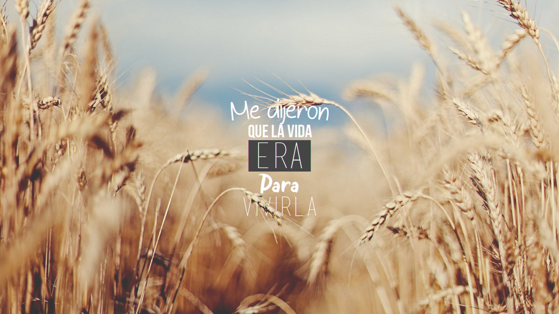 typography, landscape, 1080P, text, nature, Spanish, HD Wallpaper