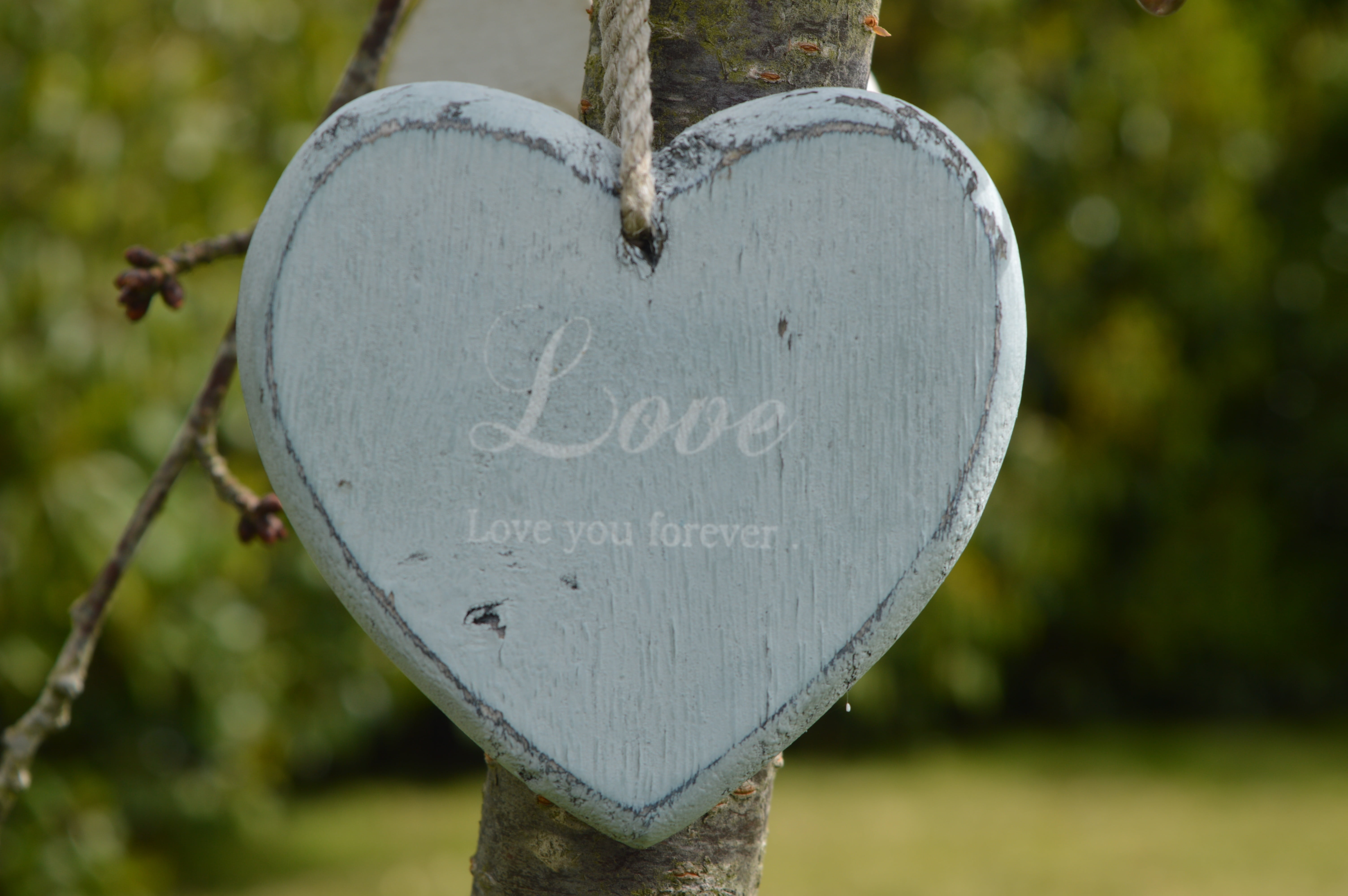 outdoors, gray, sign, love, design, ornament, 5K, wooden, no people, shape, focus on foreground, day, text, signage, nature, message, valentines day - holiday, HD Wallpaper