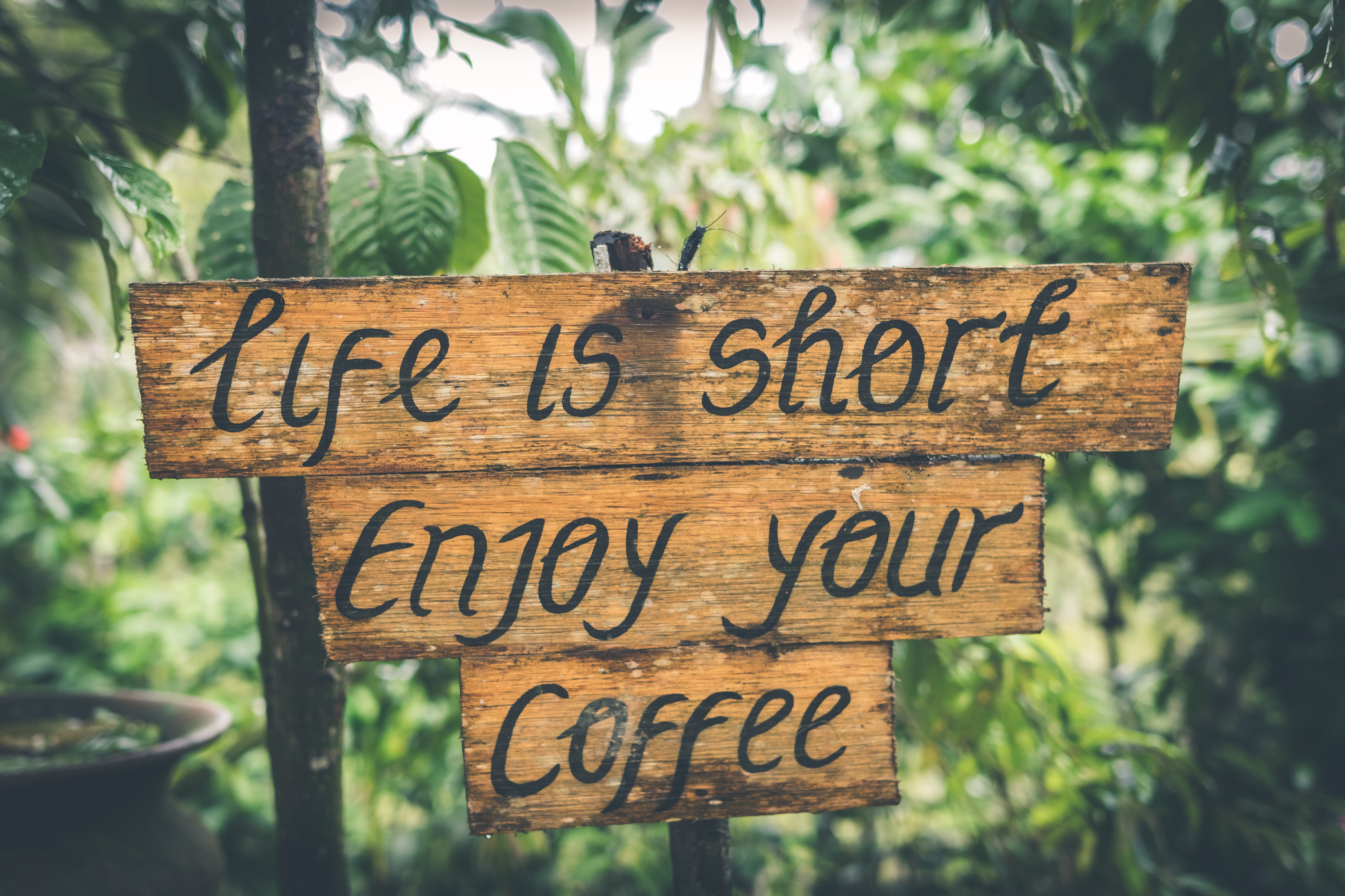 wood - material, enjoy, photography, information, close-up, wooden, focus on foreground, coffee, nature, guidance, information sign, arrow symbol, no people, HD Wallpaper