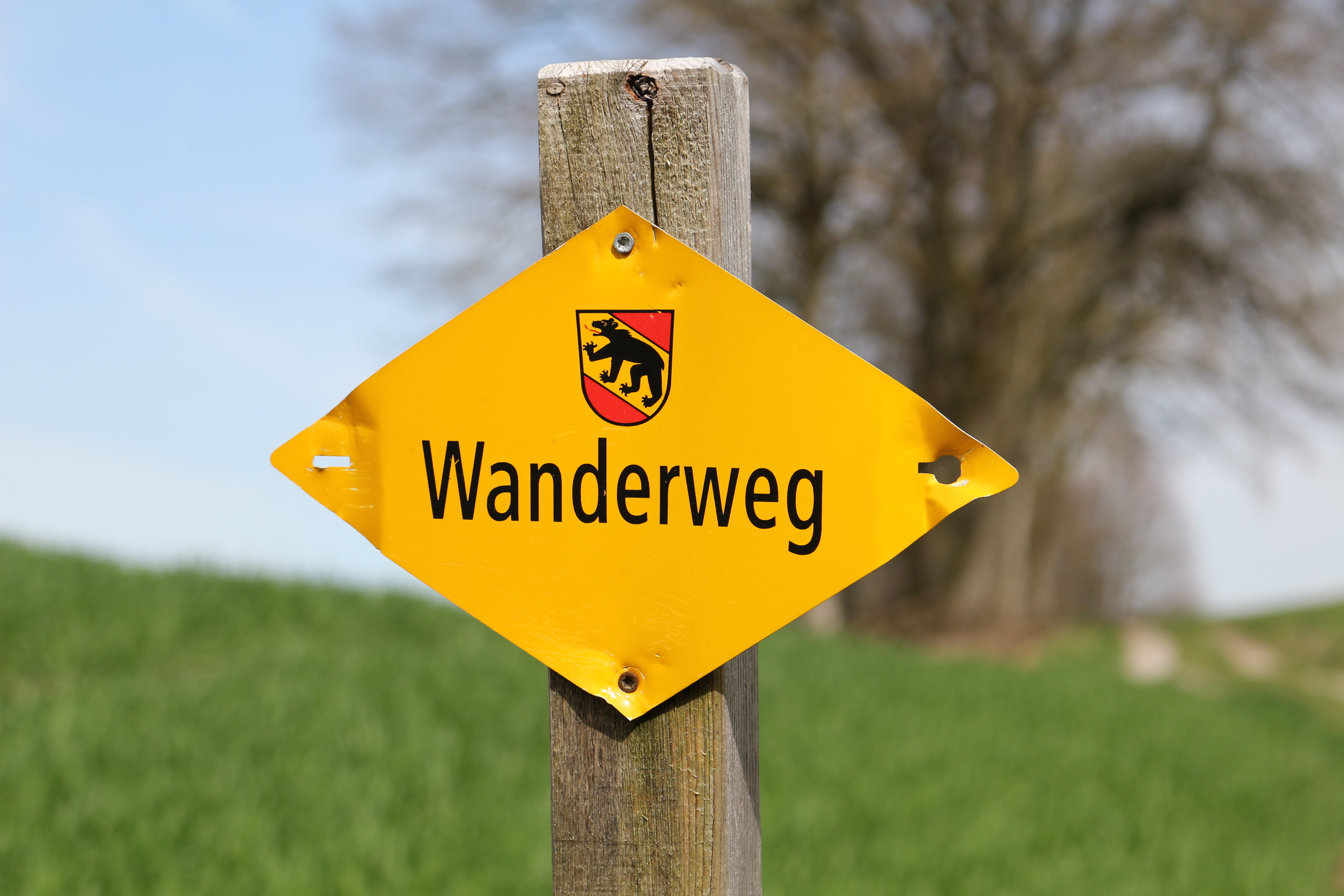 5K, yellow, away, sign, road, no people, construction industry, safety, nature, outdoors, guidance, trail, directory, road sign, rural scene, warning sign, HD Wallpaper