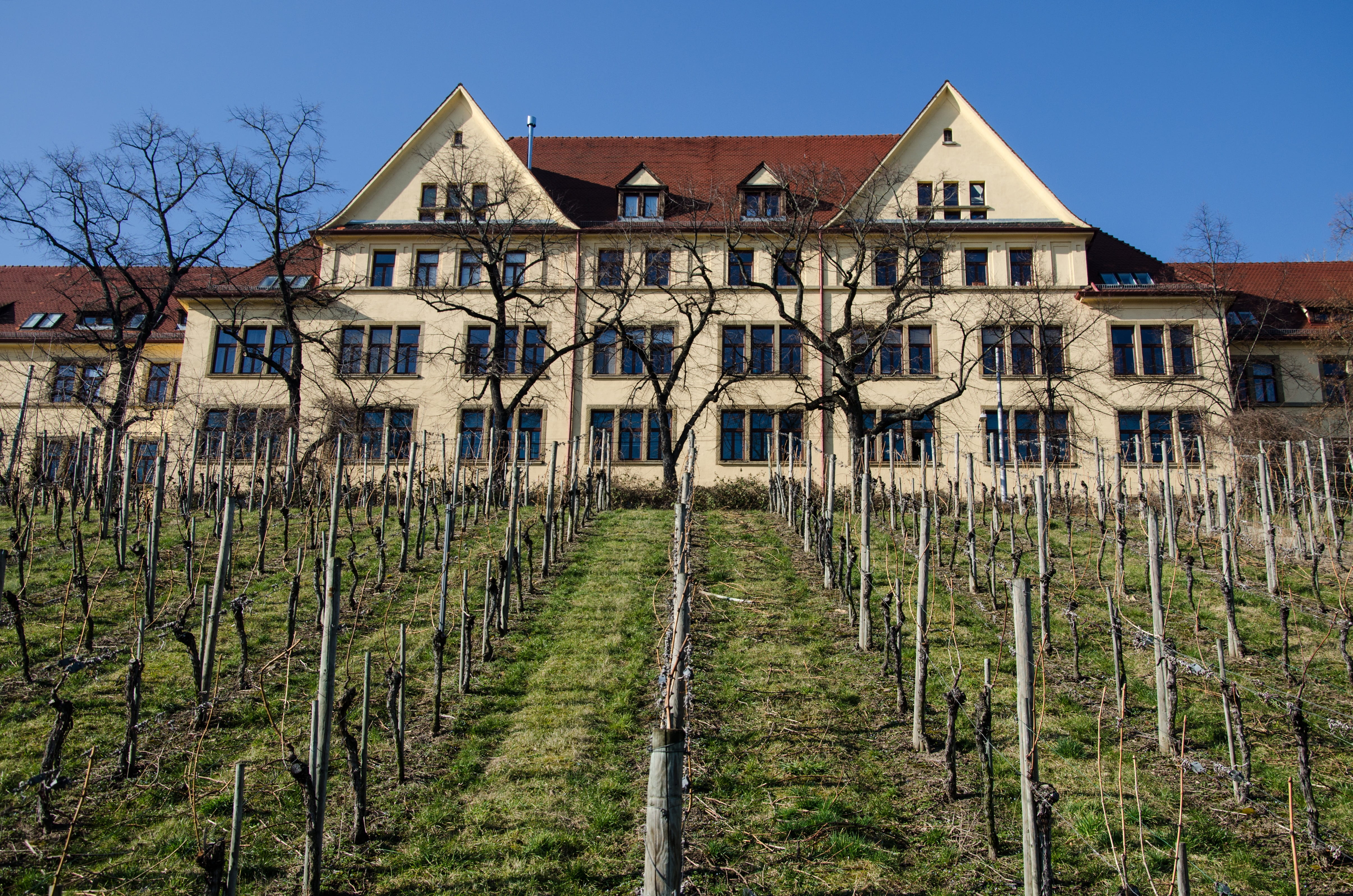 architecture, building, clear sky, tourism, no people, city, landscape, rämerkastell, tree, sky, places of interest, community, travel, outdoors, built structure, HD Wallpaper