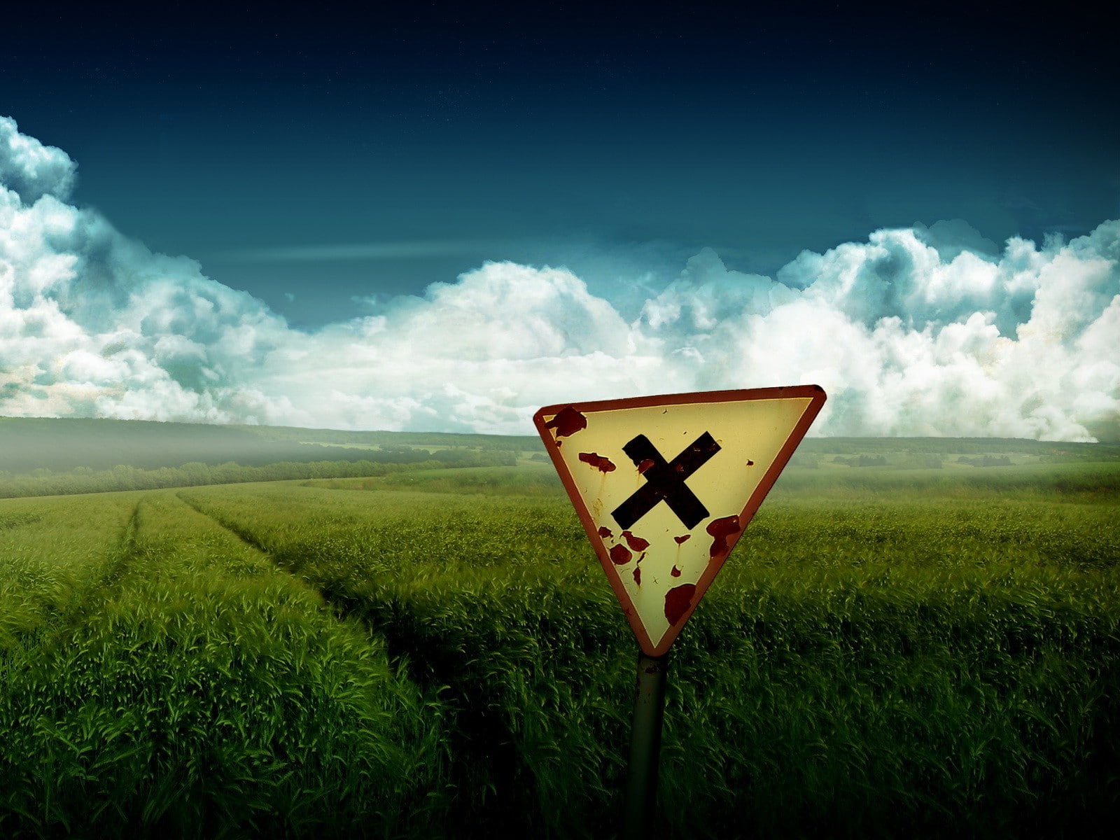clouds, field, tranquility, no people, communication, 720P, road, road warning sign, plant, tranquil scene, land, outdoors, agriculture, cloud - sky, environment, HD Wallpaper
