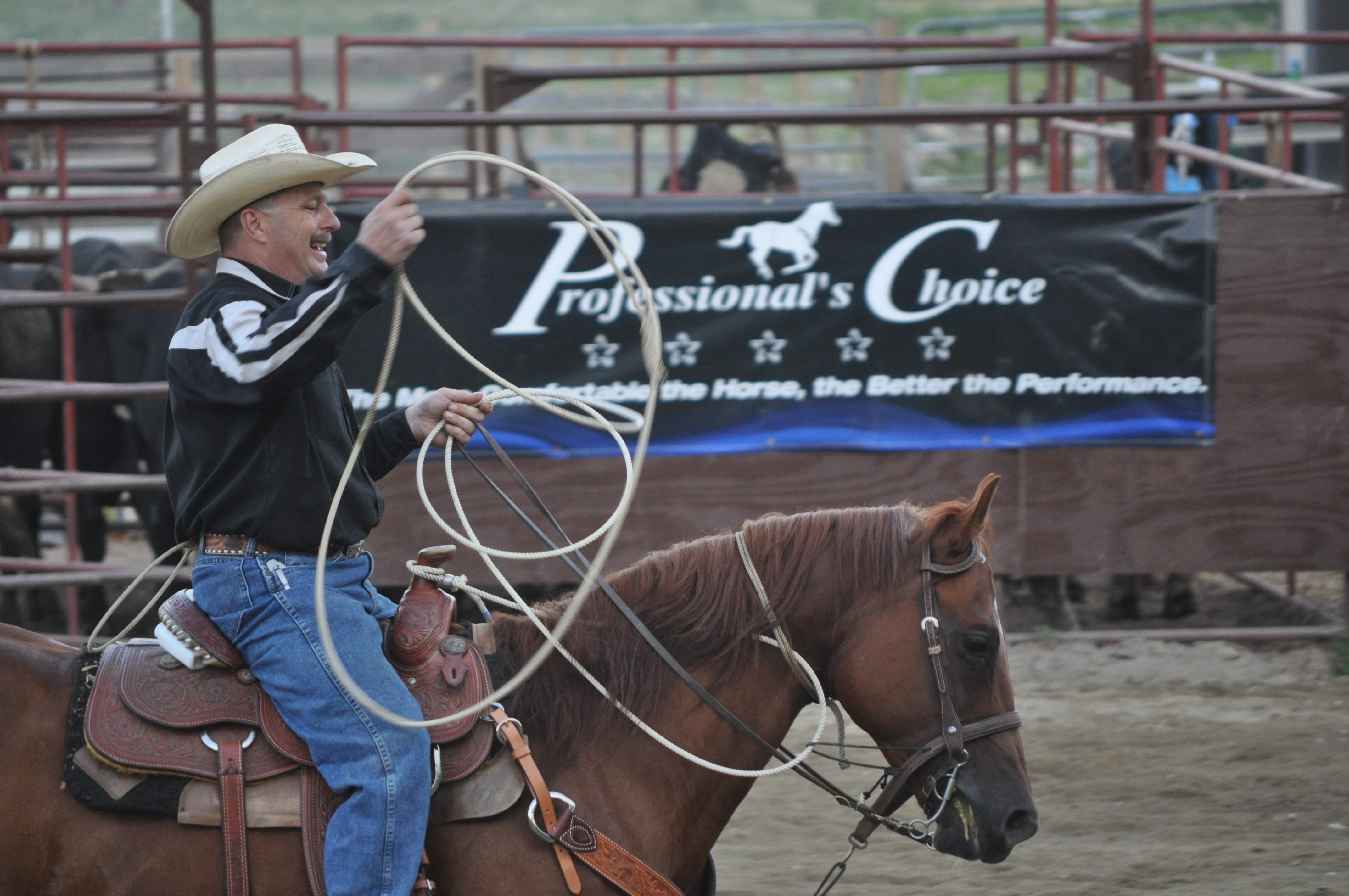 domestic animals, vertebrate, leisure activity, hat, lifestyles, texas, ranching, domestic, 4K, day, western, livestock, horse, rodeo, bucking, rope, animal wildlife, HD Wallpaper