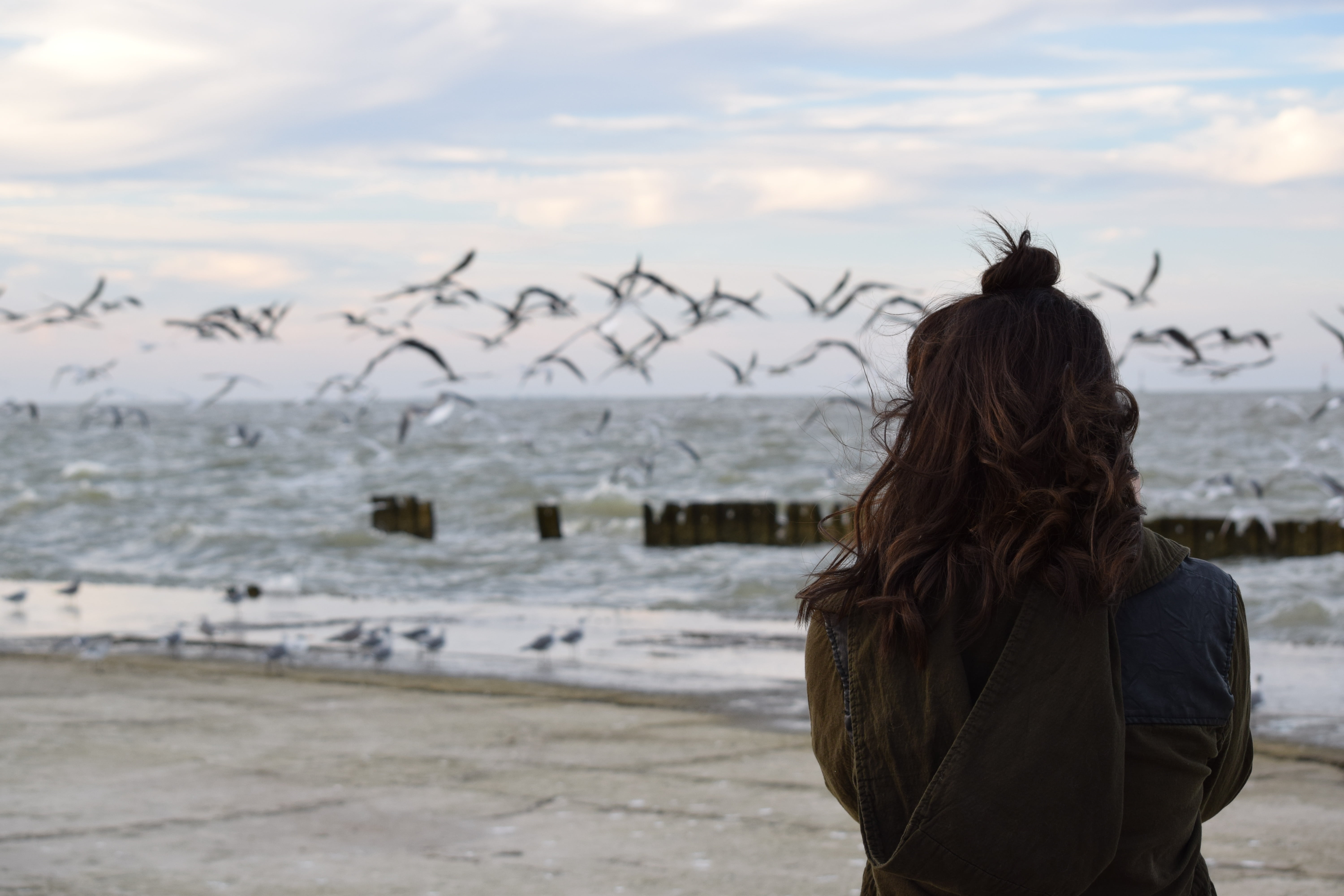 water, vacations, capture, fly, seashore, hair, waist up, girl, standing, horizon over water, nature, sea, flock, long hair, rear view, women, animal, real people, HD Wallpaper