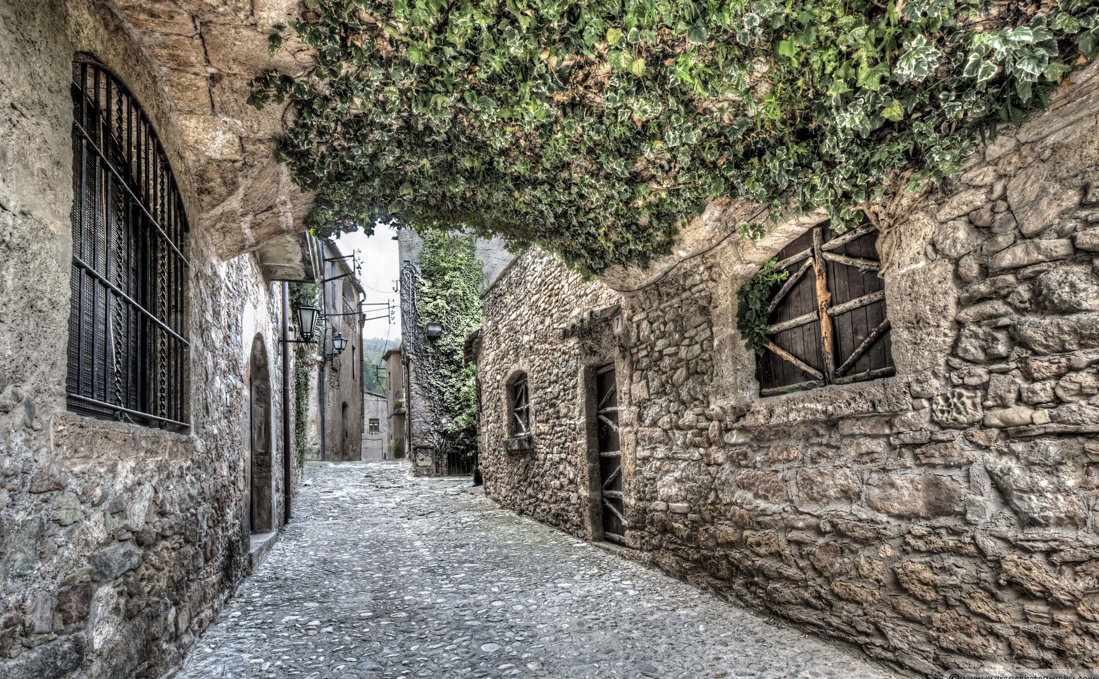 old, mura, building exterior, building, streets, tree, concrete, outdoors, alley, nature, wall, brown, residential district, no people, 4K, the way forward, HD Wallpaper