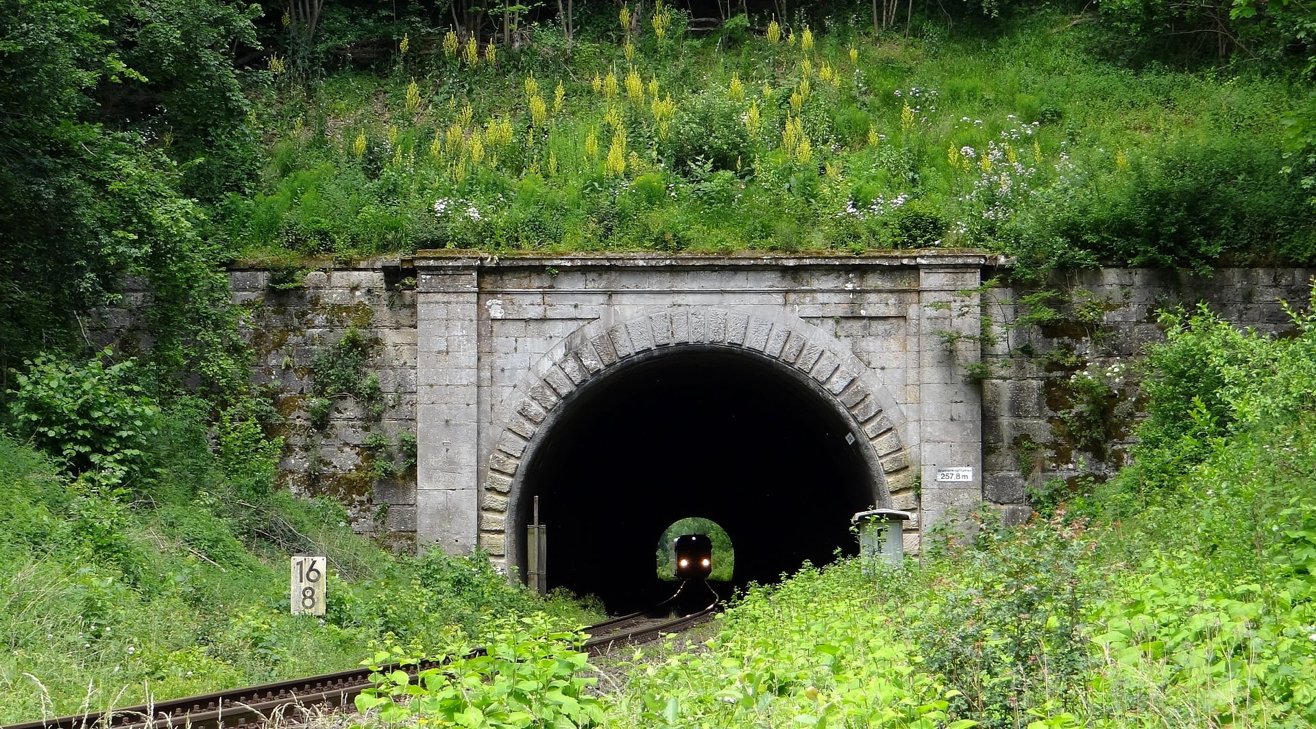 railway, grass, land, connection, transportation, 1080P, green color, arch bridge, bridge, tunnel, built structure, no people, railway tunnel, plant, kbs 757, HD Wallpaper