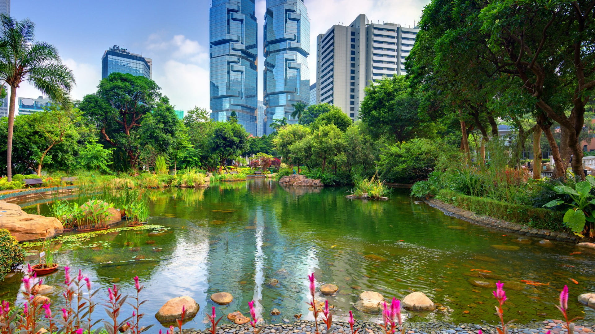 lake, built structure, flora, growth, nature, city, architecture, garden, outdoors, plant, office building exterior, tree, pond, skyscraper, park, park - man made space, HD Wallpaper
