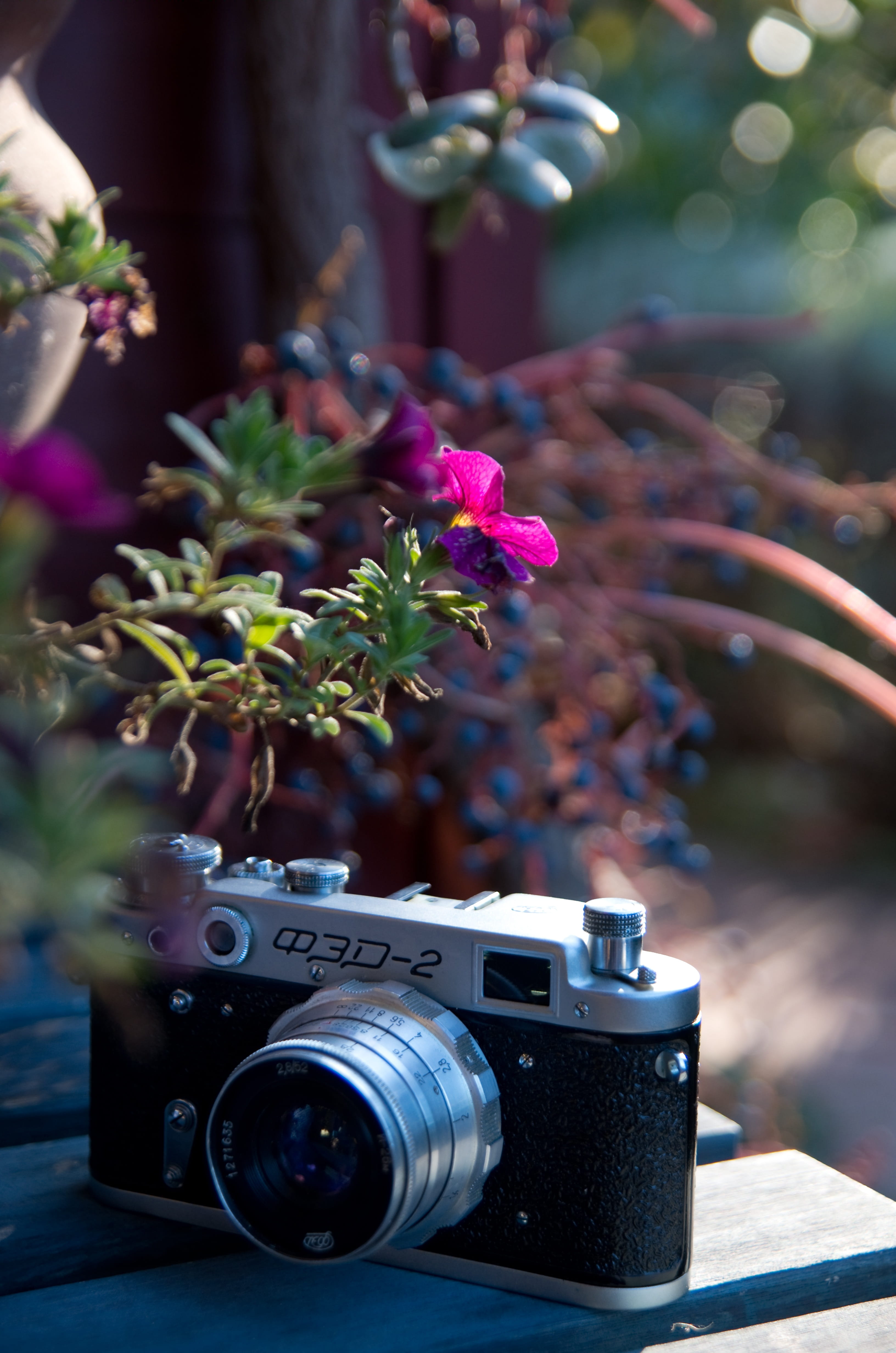 focus on foreground, russian, flower pot, digital camera, outdoors, potted plant, 4K, antique, photography themes, technology, cyclamen, mood, light, close-up, Phone HD Wallpaper