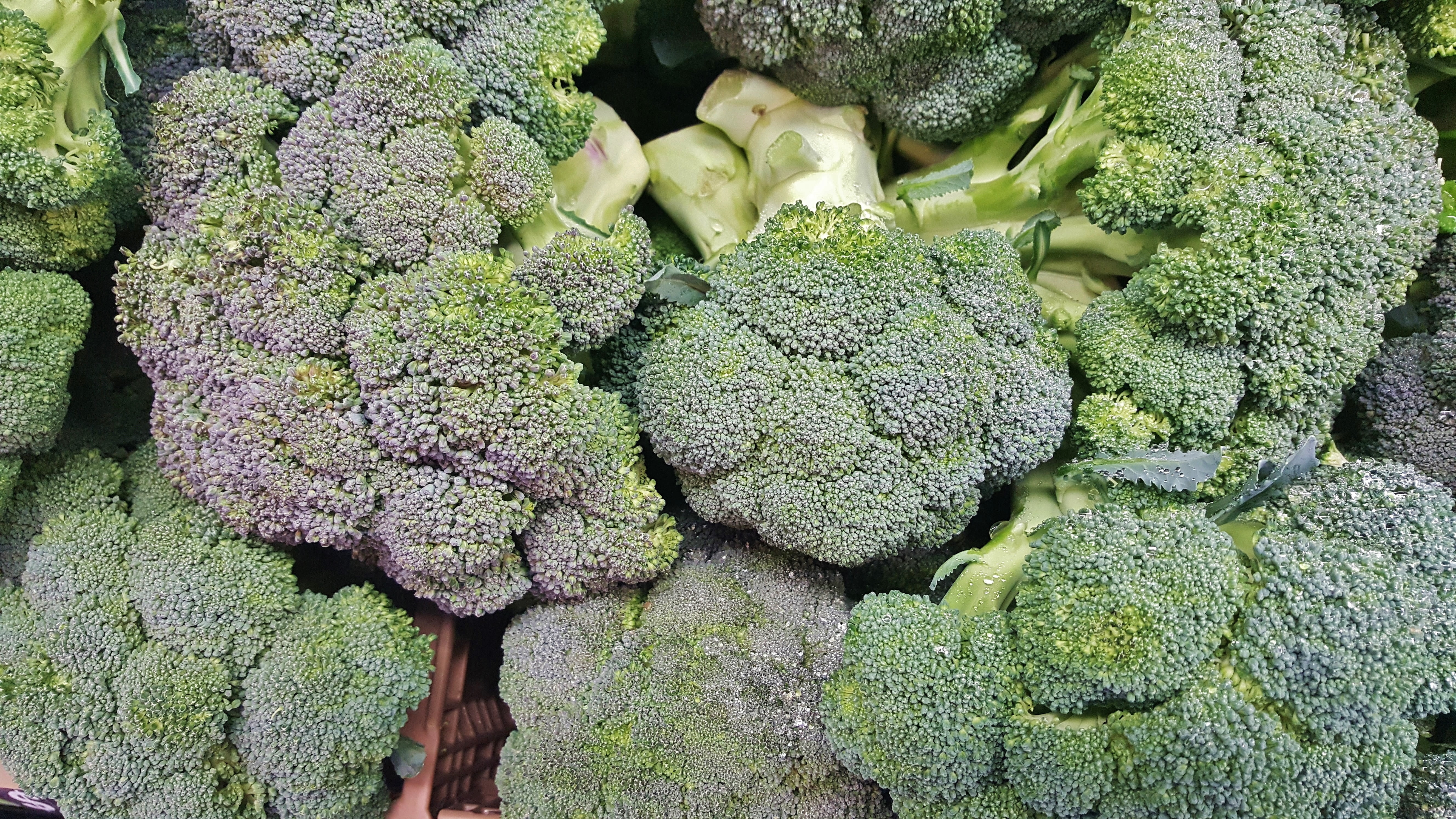 green color, fresh, vegetables, retail, brassica oleracea, health food, retail display, 5K, still life, produce, green, photo, green vegetables, food and drink, HD Wallpaper