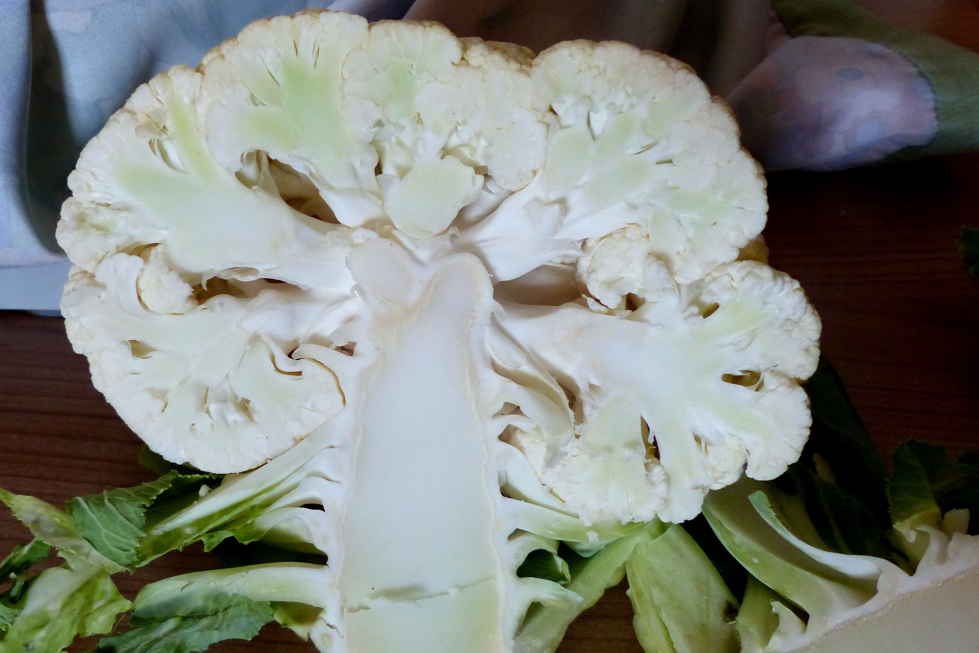 outdoors, focus on foreground, 2K, petal, vulnerability, nature, flower, cauliflower, beauty in nature, no people, growth, food, white color, market fresh vegetables, HD Wallpaper