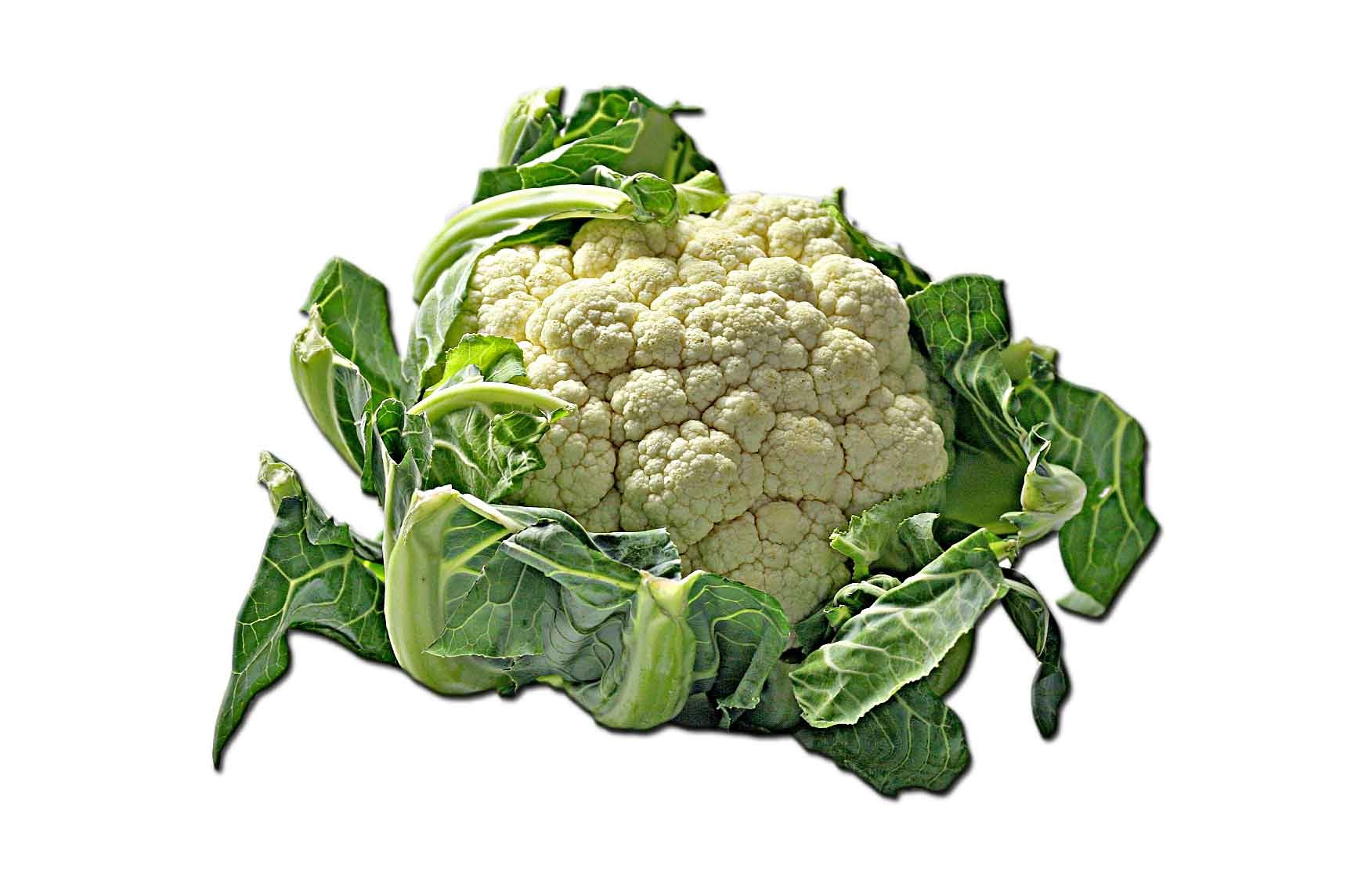 kohl, close-up, no people, grape cabbage, vegetarian food, flowering cabbage, vegetable, white background, brassica oleracea, food, dieting, studio shot, HD Wallpaper