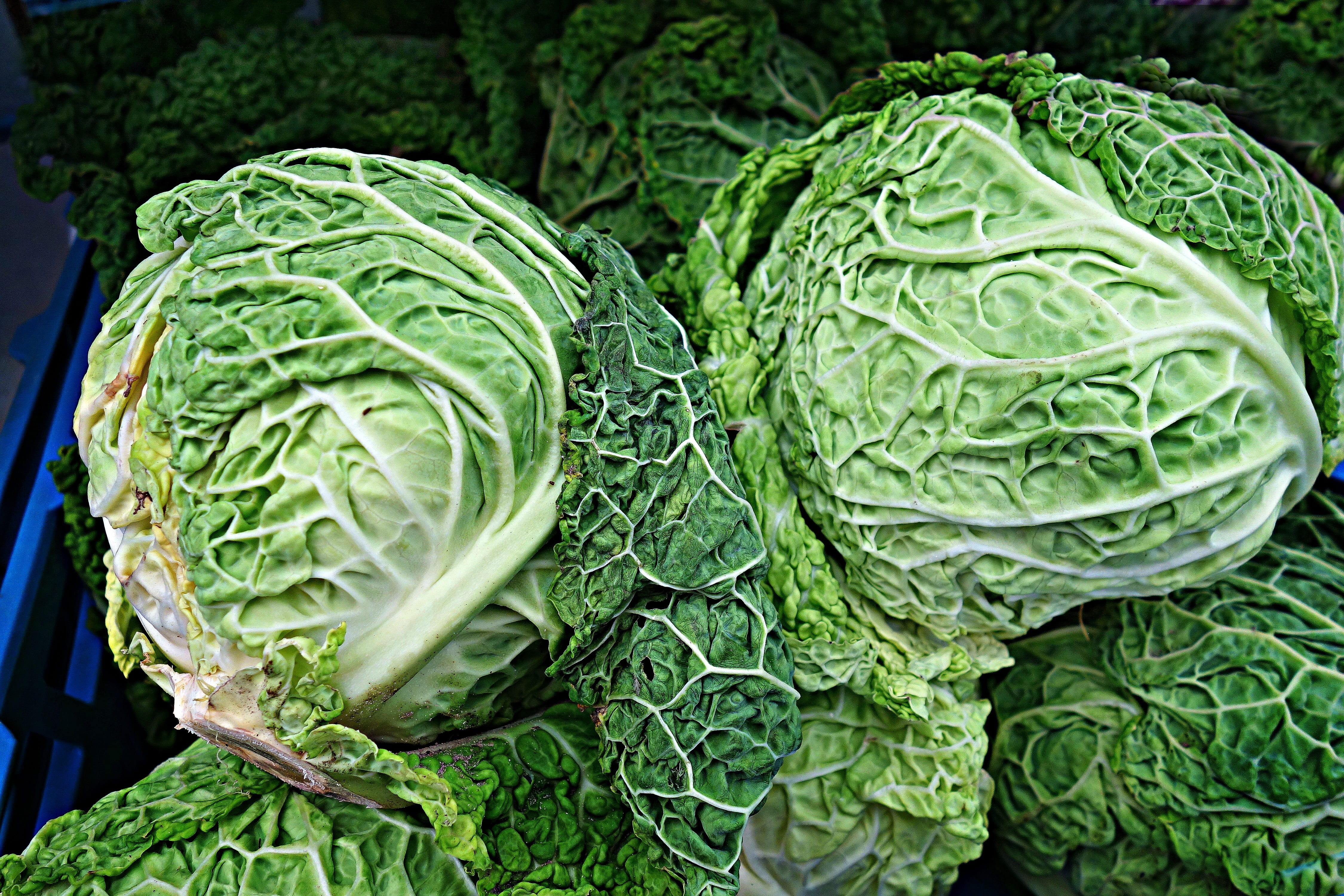 minerals, raw food, cabbage, market, green color, savoy cabbage, fresh cabbage, eating, food, green, plant part, leaf, agriculture, nutrition, close-up, HD Wallpaper